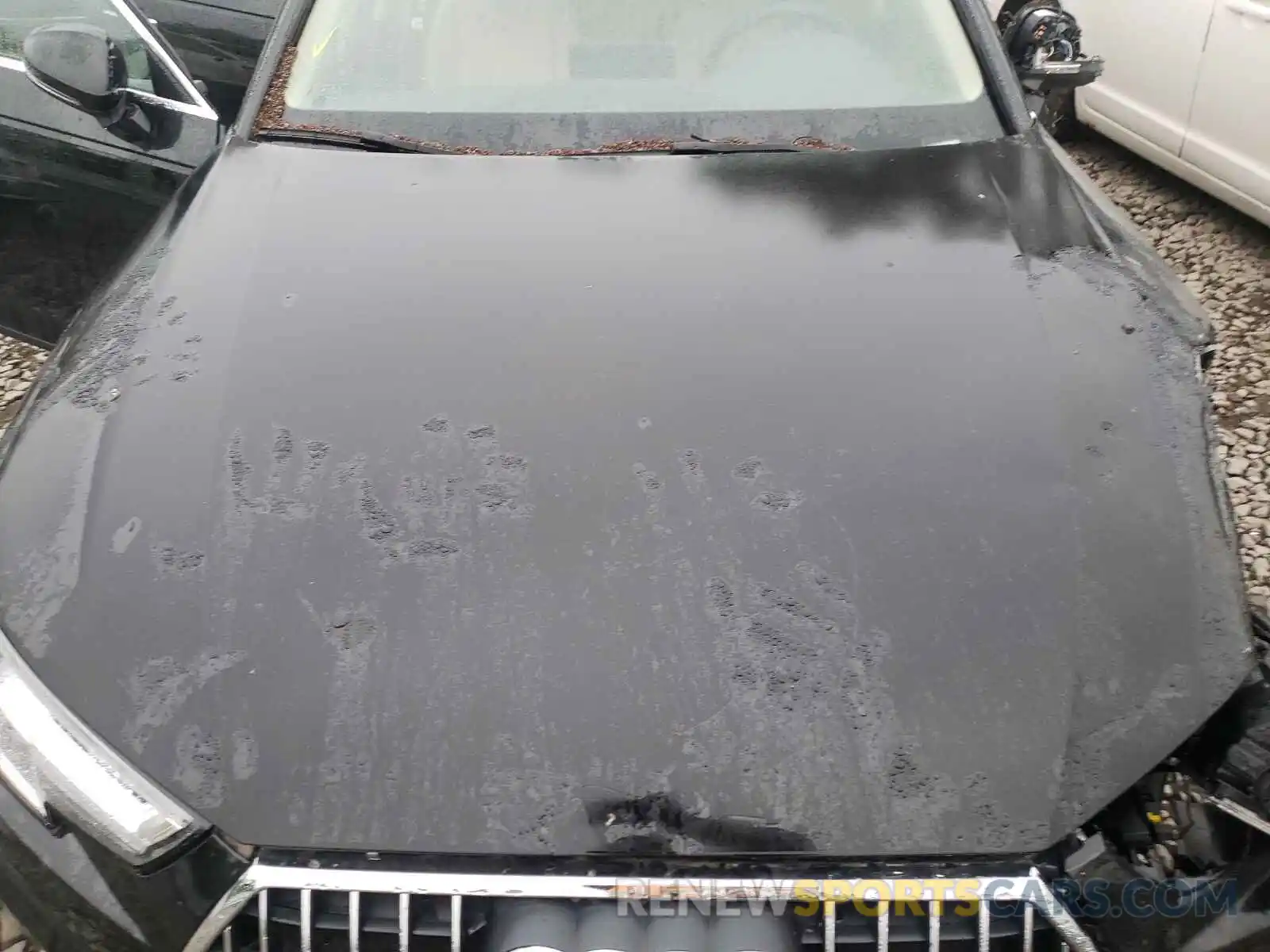 7 Photograph of a damaged car WA18NAF41KA009818 AUDI A4 2019