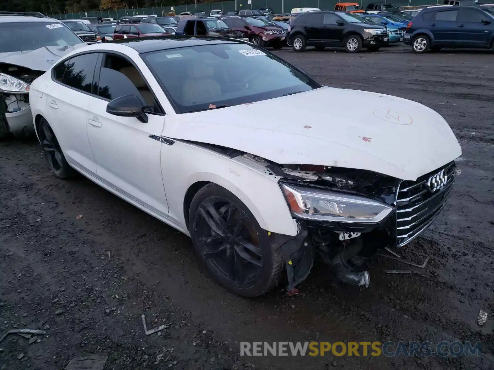 1 Photograph of a damaged car WAUANCF52KA057370 AUDI A5 2019