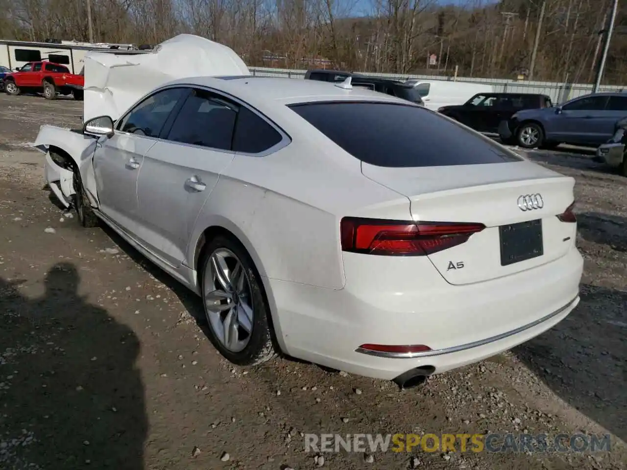 3 Photograph of a damaged car WAUANCF54KA046354 AUDI A5 2019