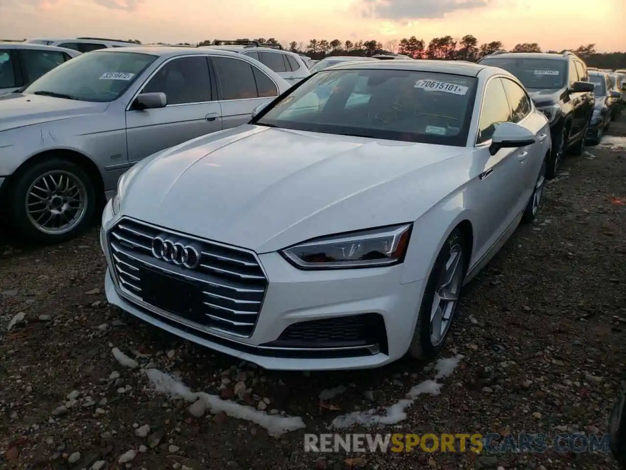 2 Photograph of a damaged car WAUDNCF58KA099801 AUDI A5 2019