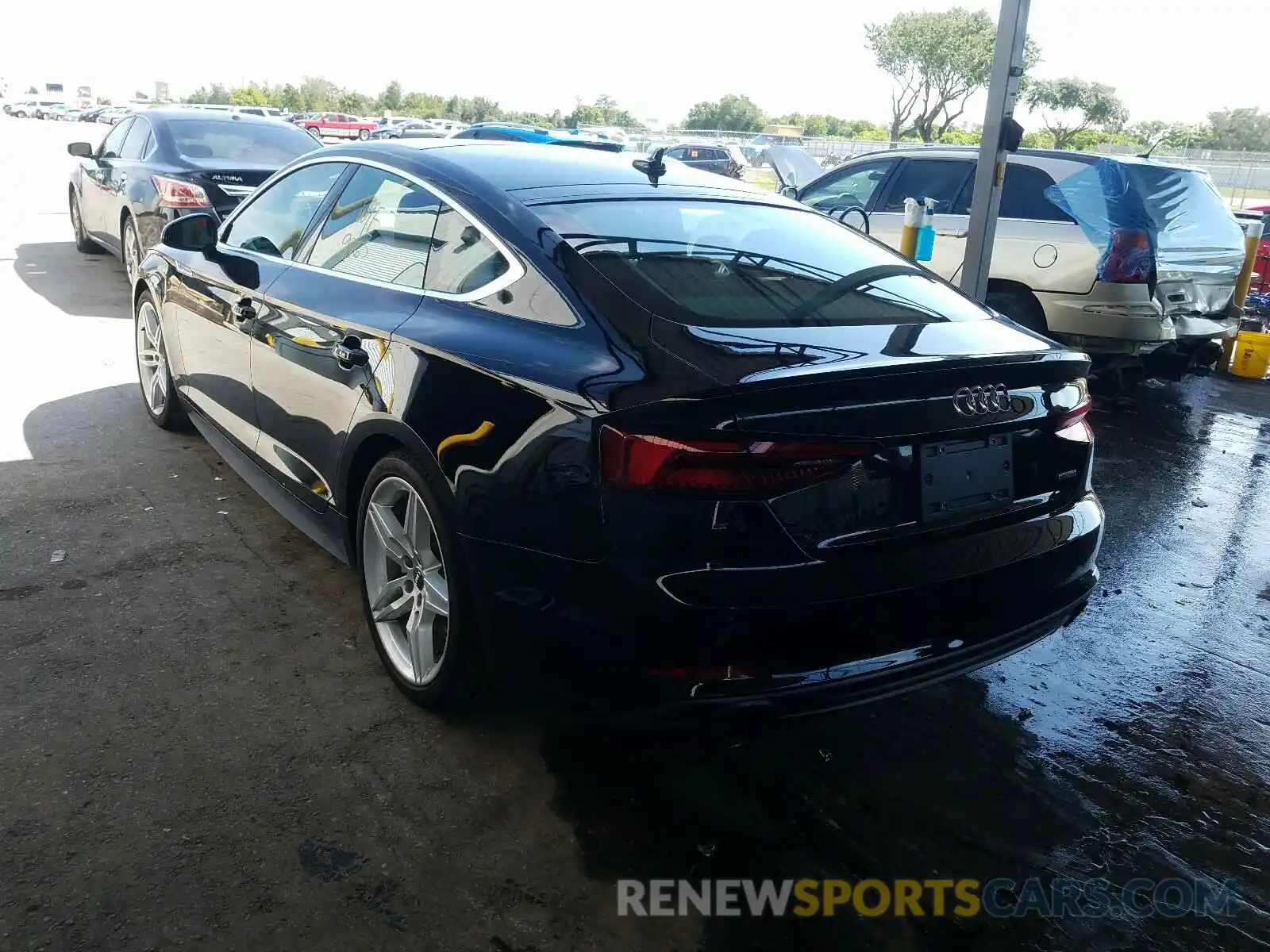 3 Photograph of a damaged car WAUENCF52KA007487 AUDI A5 2019