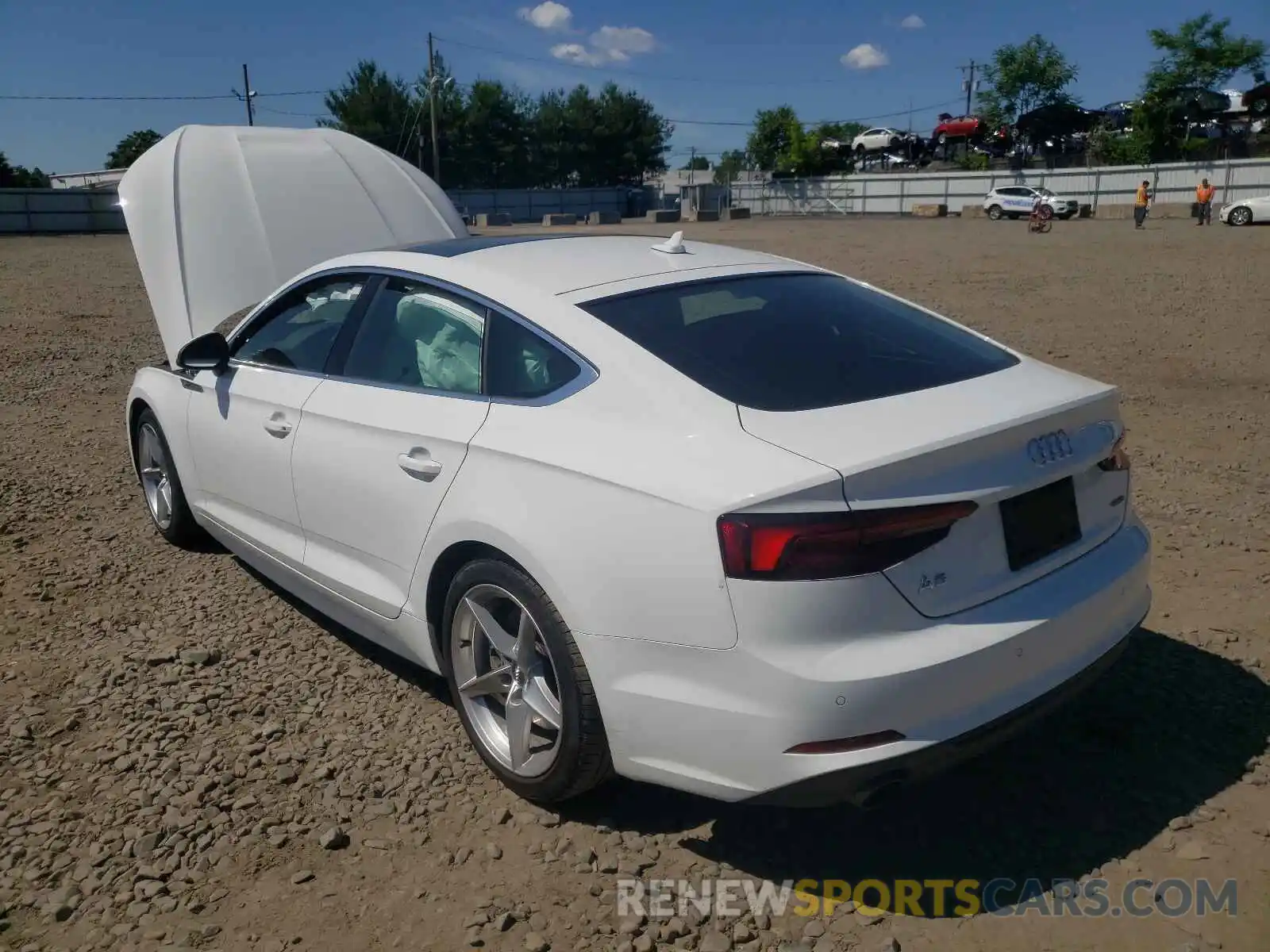 3 Photograph of a damaged car WAUENCF54KA023352 AUDI A5 2019