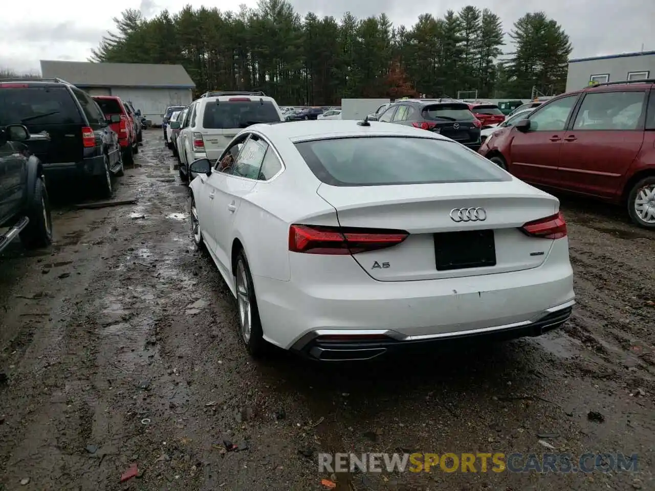 3 Photograph of a damaged car WAUDACF57MA044240 AUDI A5 2021