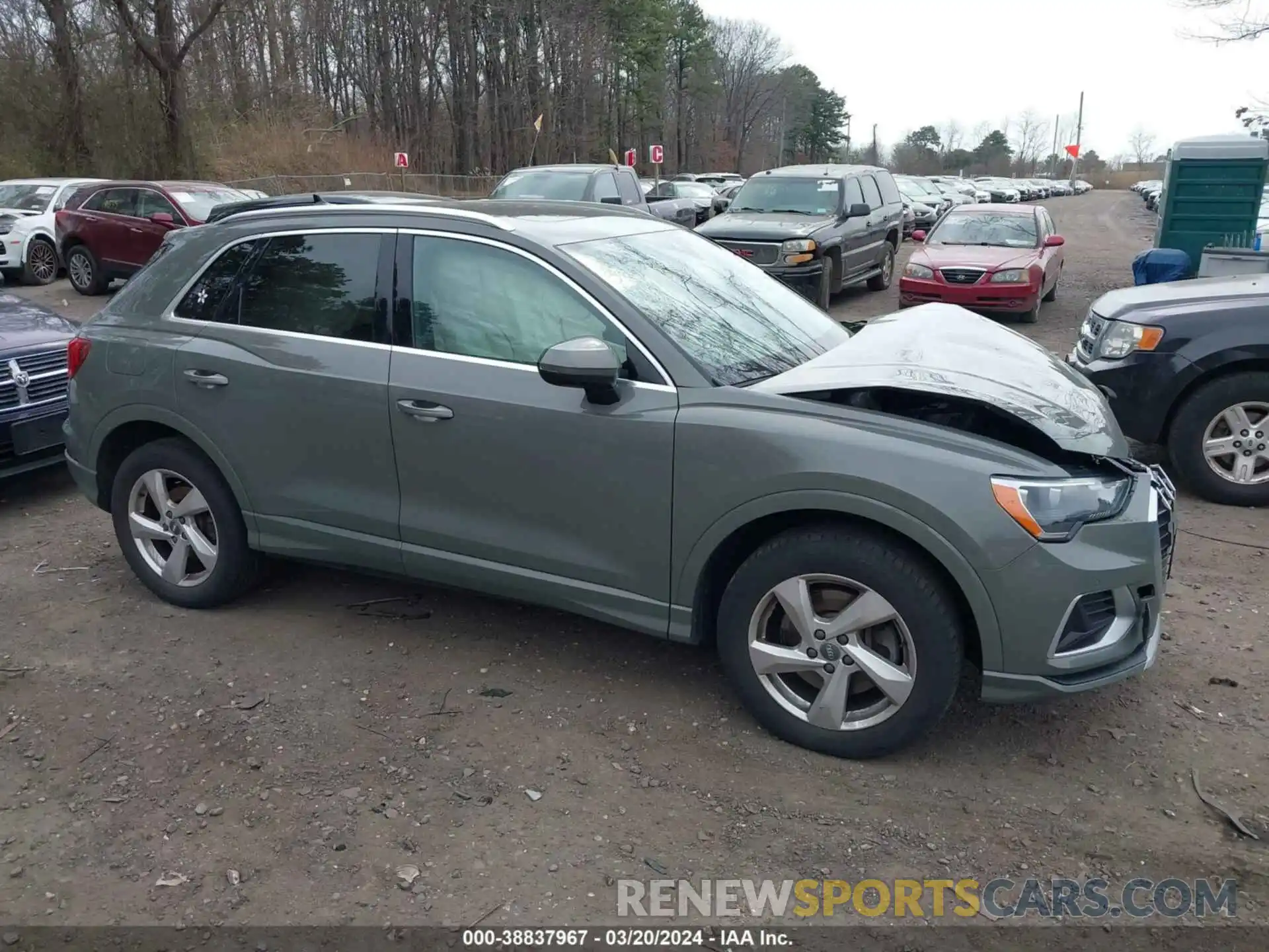 13 Photograph of a damaged car WA1AECF37K1079974 AUDI Q3 2019