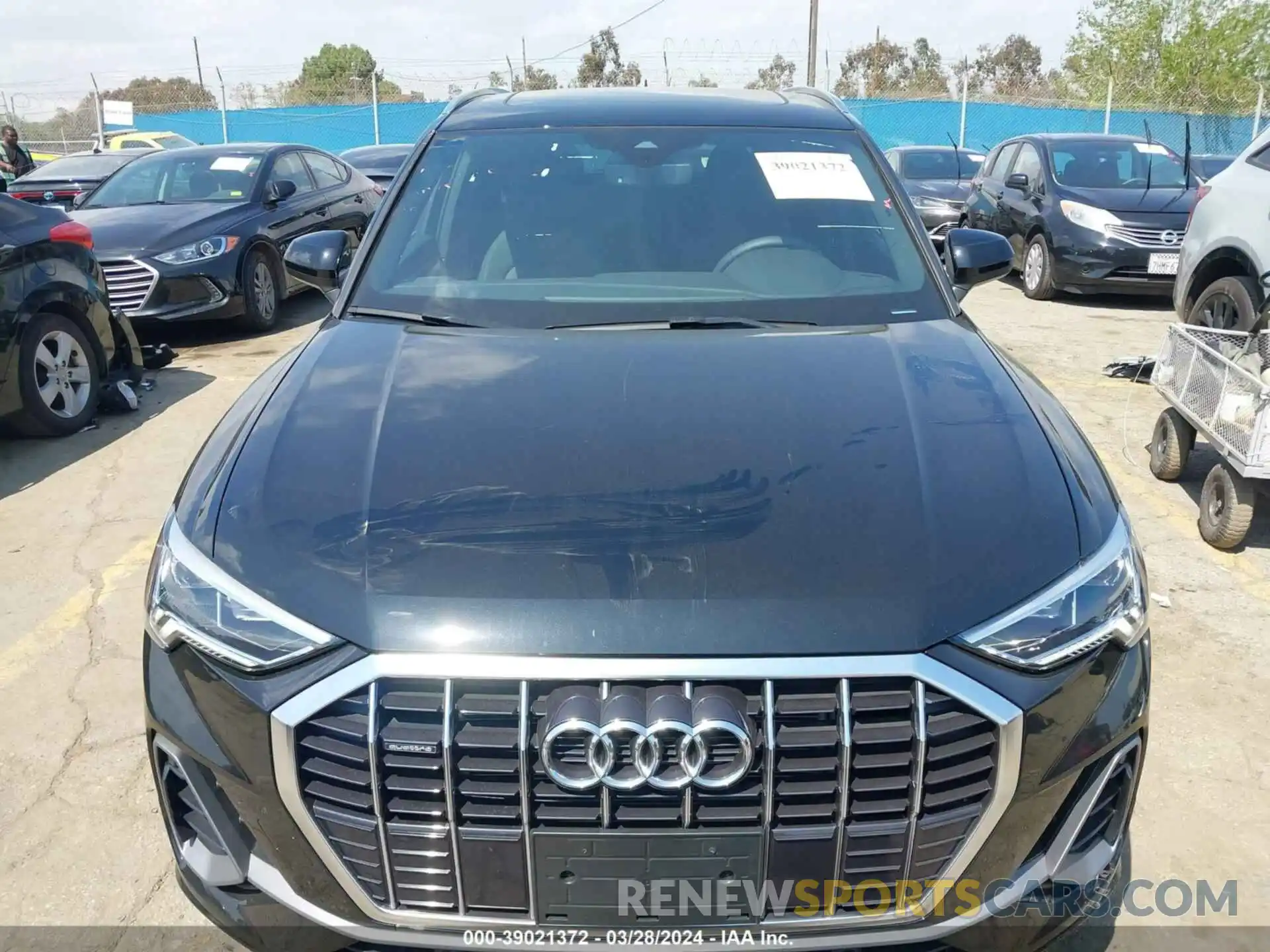 13 Photograph of a damaged car WA1DECF31R1023469 AUDI Q3 2024