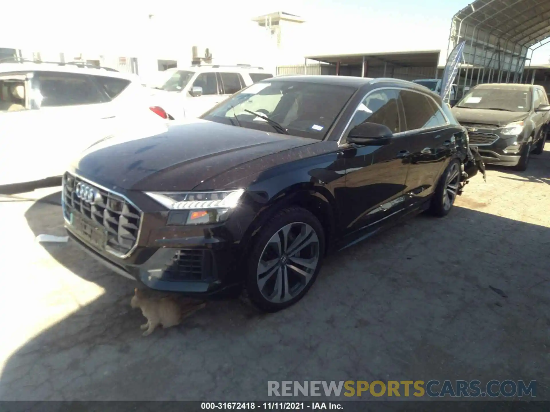 2 Photograph of a damaged car WA1CVAF16KD008971 AUDI Q8 2019