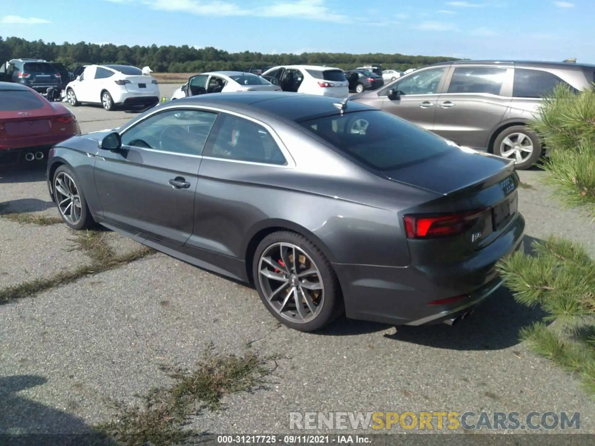 3 Photograph of a damaged car WAUP4AF54KA068131 AUDI S5 COUPE 2019