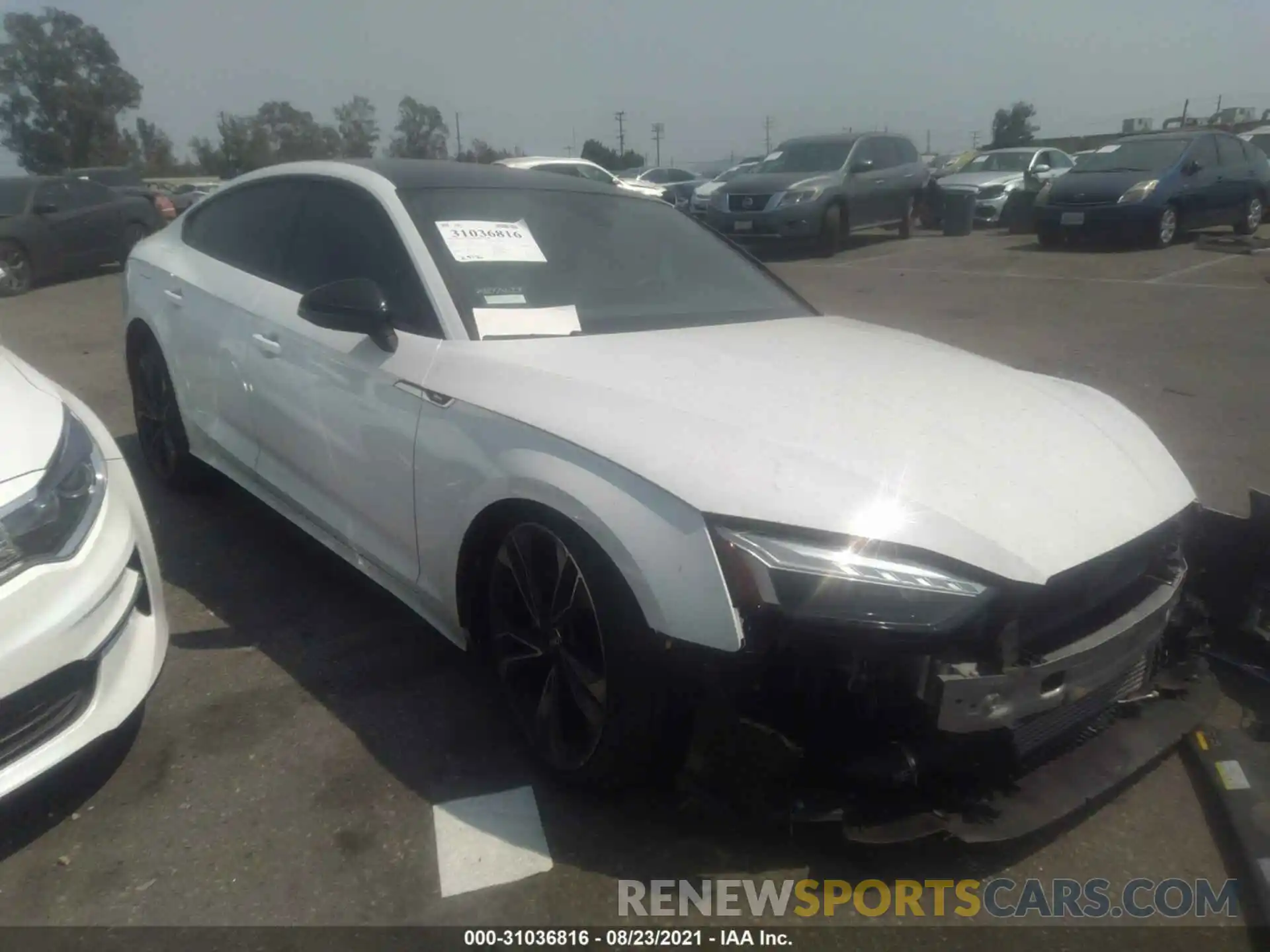 1 Photograph of a damaged car WAUC4CF56MA009773 AUDI S5 SPORTBACK 2021