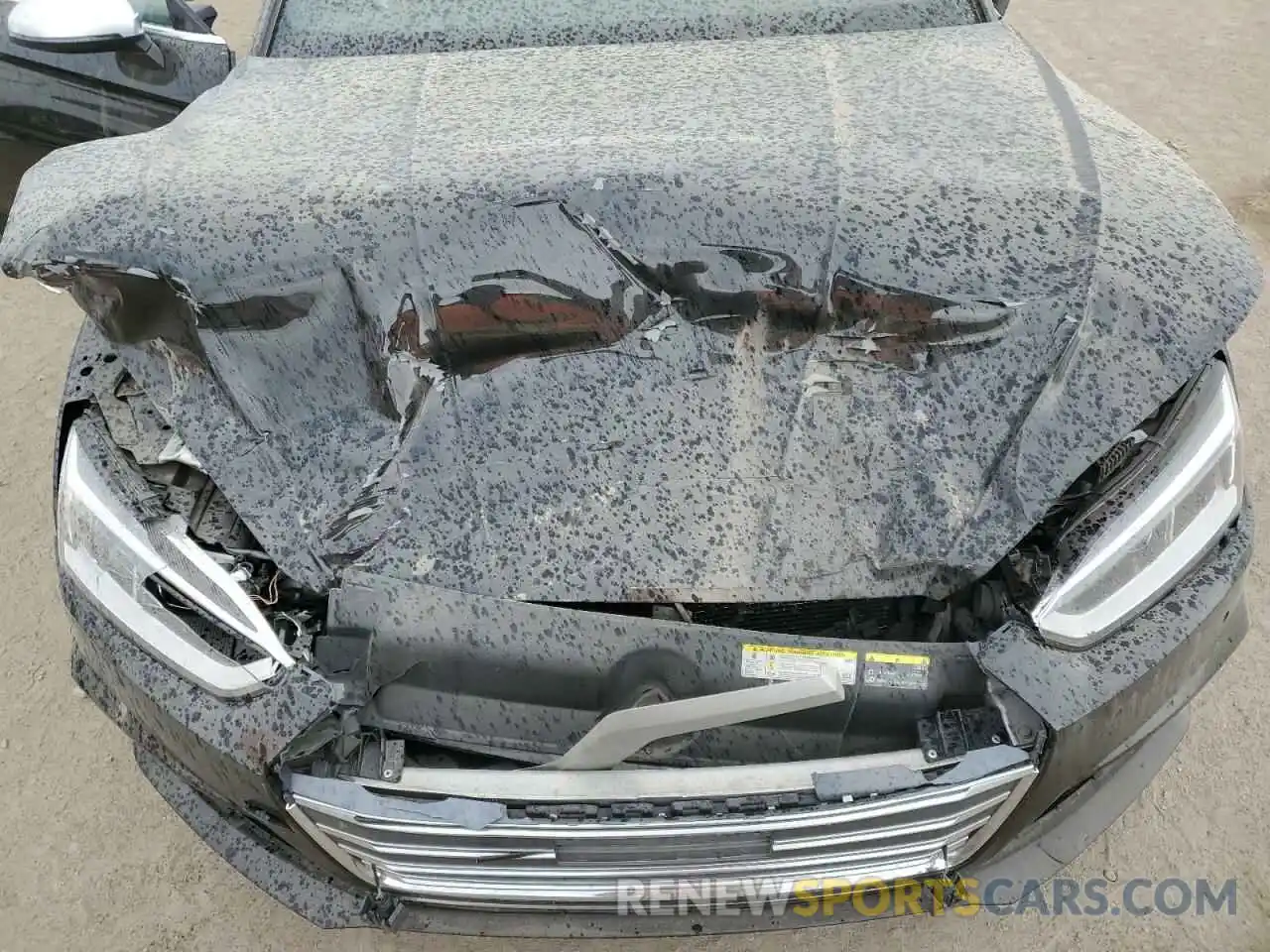 11 Photograph of a damaged car WAUB4CF57KA000556 AUDI S5/RS5 2019