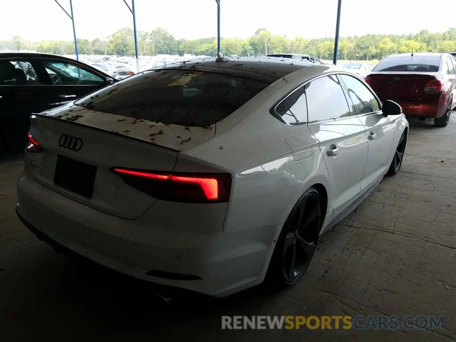 4 Photograph of a damaged car WAUC4CF5XKA025794 AUDI S5/RS5 2019