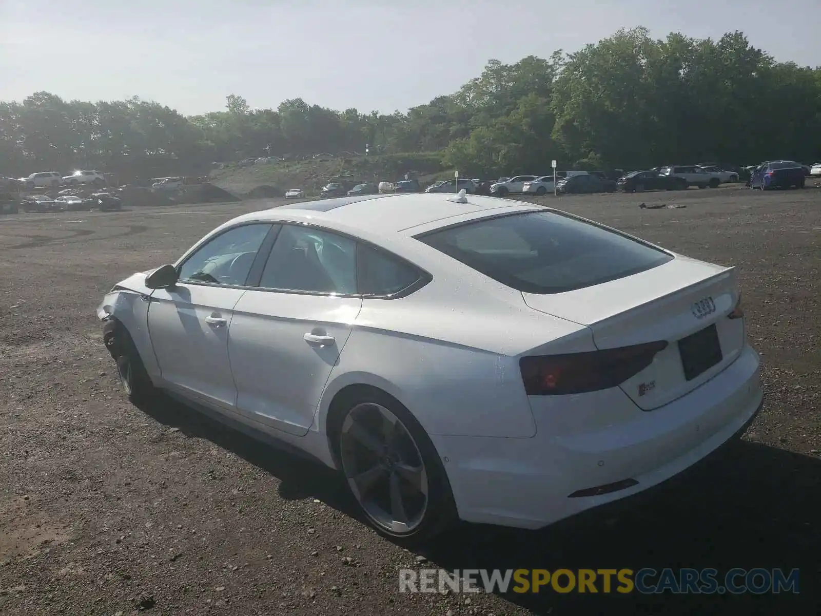 3 Photograph of a damaged car WAUC4DF54KA044850 AUDI S5/RS5 2019