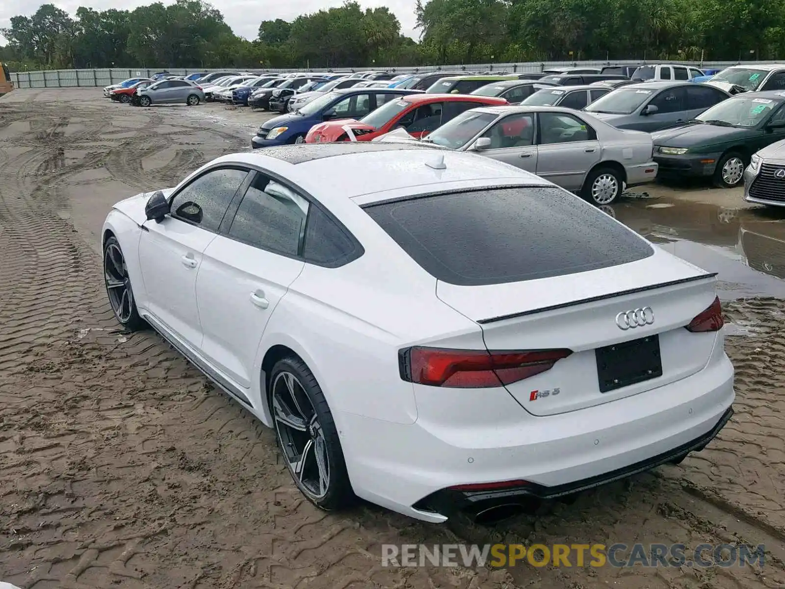 3 Photograph of a damaged car WUABWCF53KA901911 AUDI S5/RS5 2019