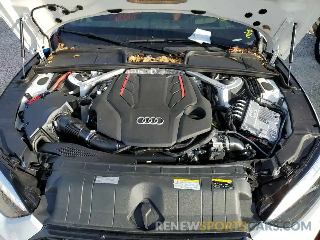 7 Фотография поврежденного автомобиля WAUB4CF52PA006269 AUDI S5/RS5 2023