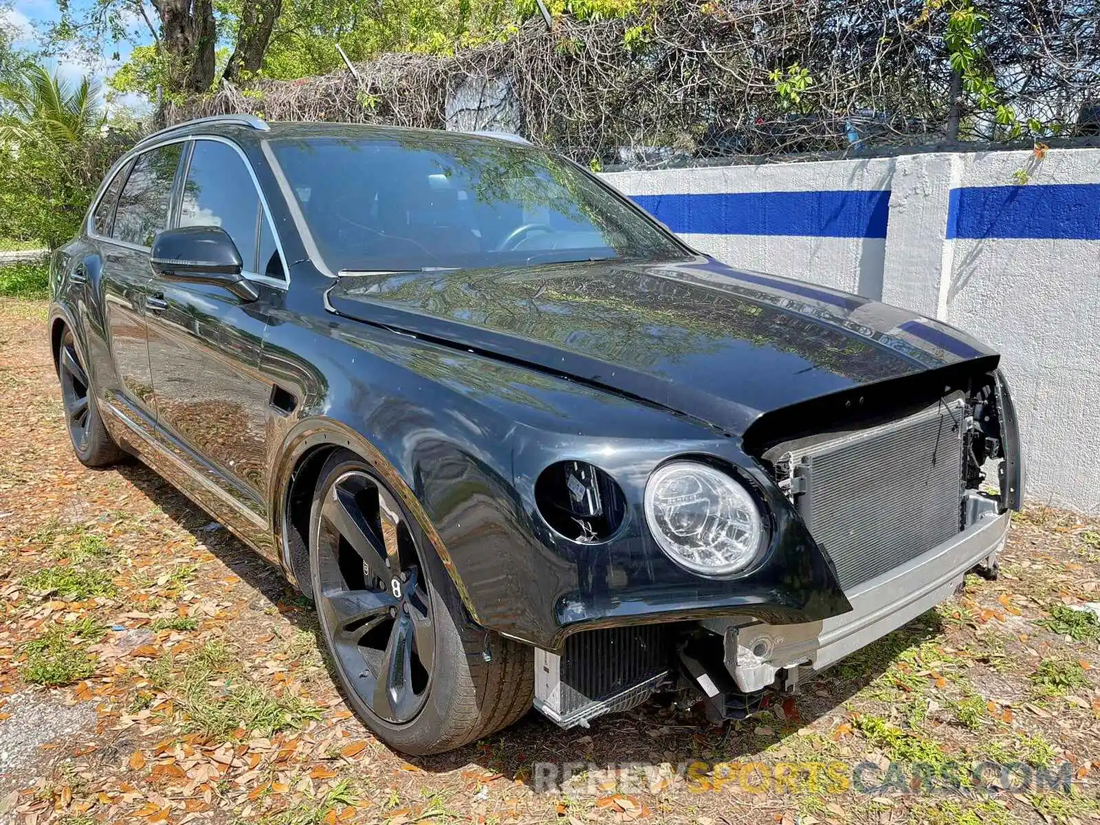 1 Photograph of a damaged car SJAAM2ZV8KC024682 BENTLEY ALL MODELS 2019