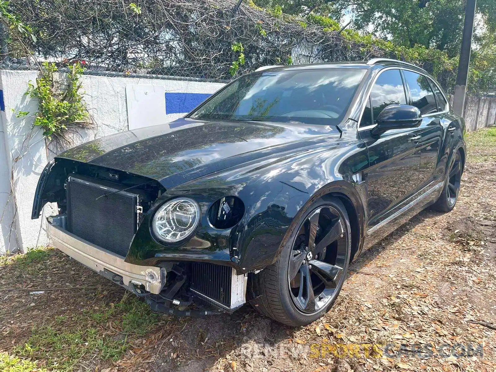 2 Photograph of a damaged car SJAAM2ZV8KC024682 BENTLEY ALL MODELS 2019