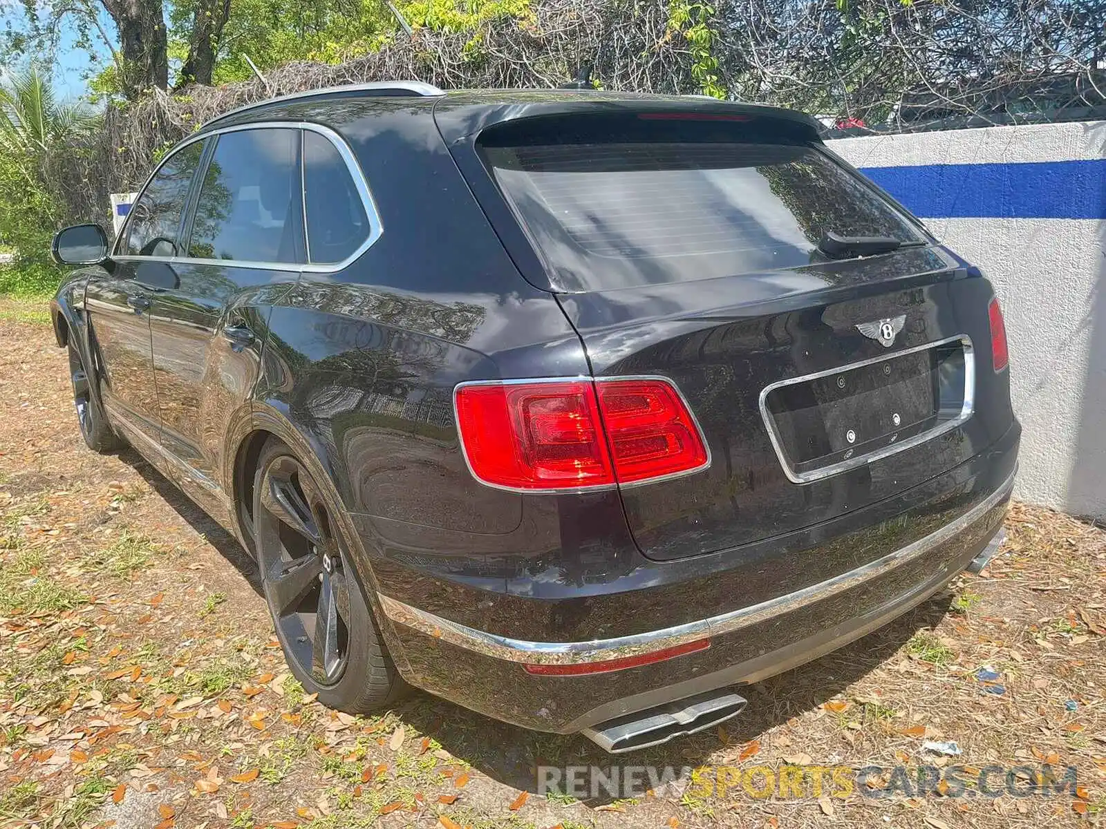 3 Photograph of a damaged car SJAAM2ZV8KC024682 BENTLEY ALL MODELS 2019