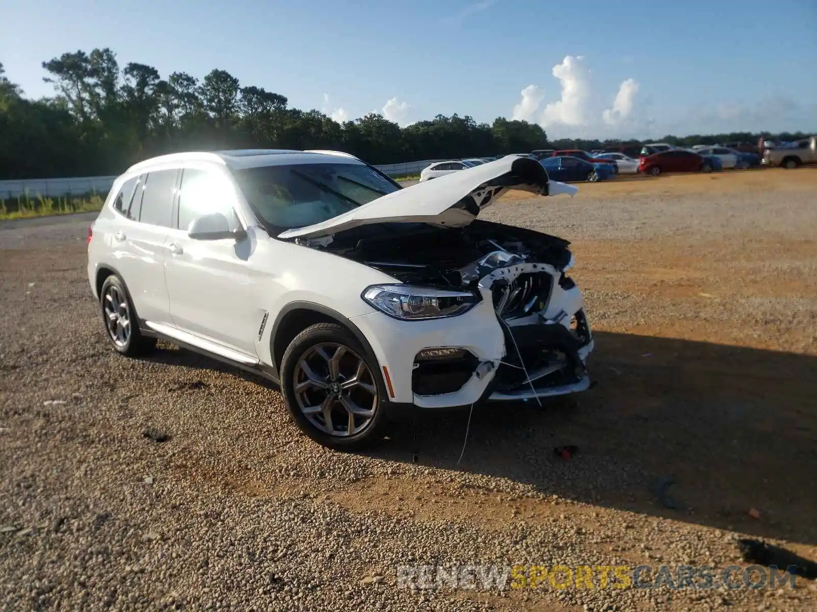 1 Photograph of a damaged car 5UXTY5C07M9F59823 BMW X3 2021