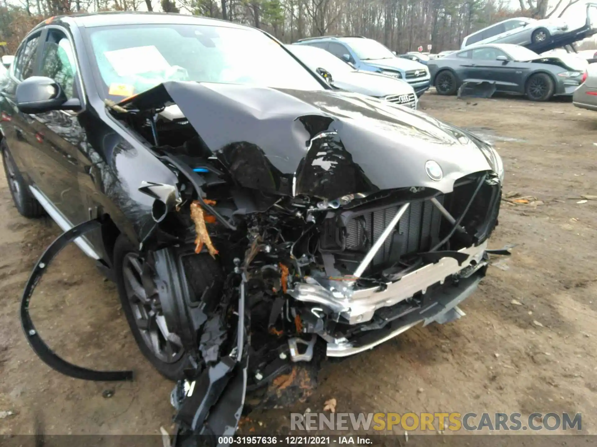 6 Photograph of a damaged car 5UX33DT05N9K12031 BMW X4 2022