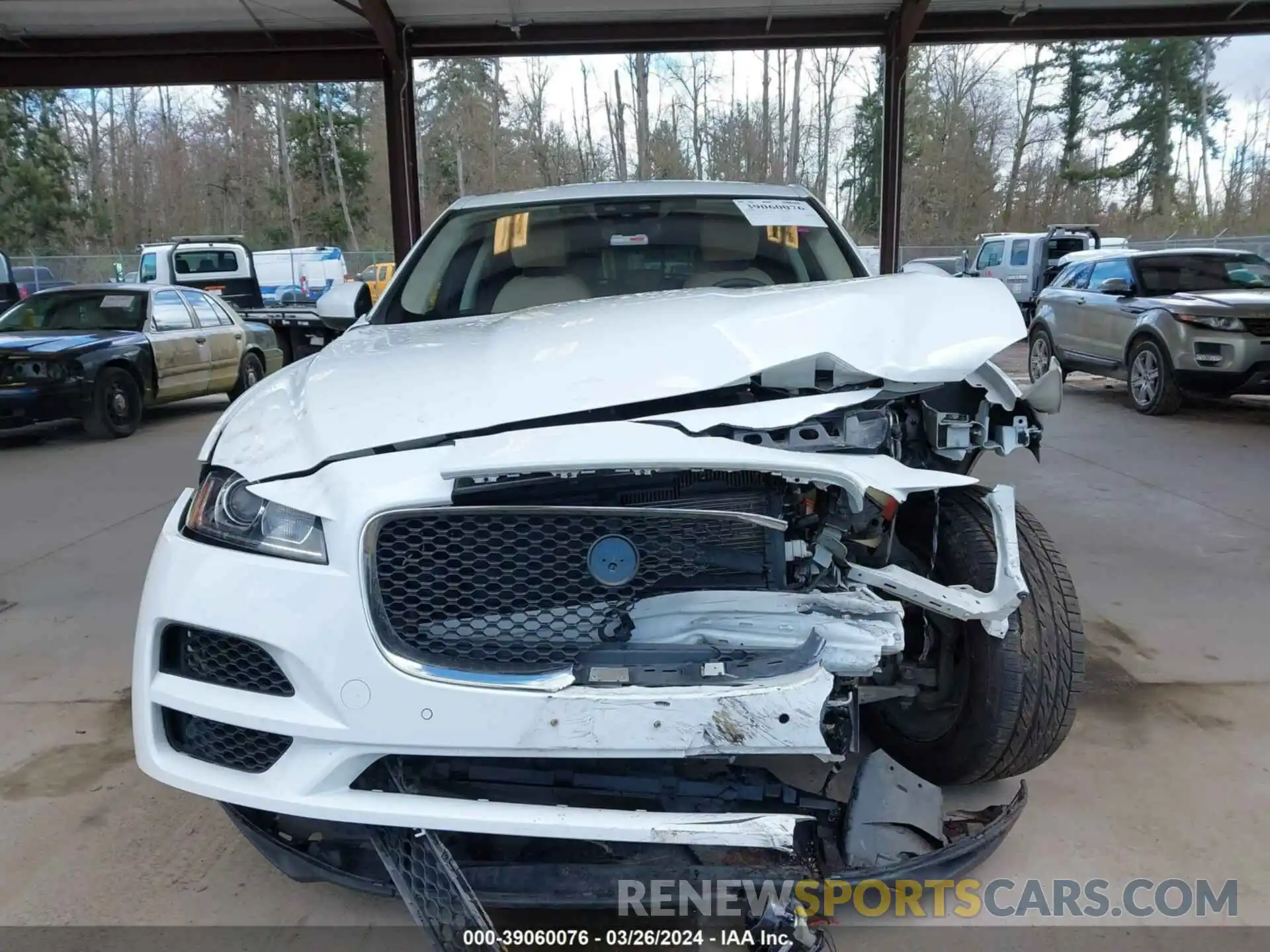 12 Photograph of a damaged car SADCJ2FX2KA393673 JAGUAR F-PACE 2019