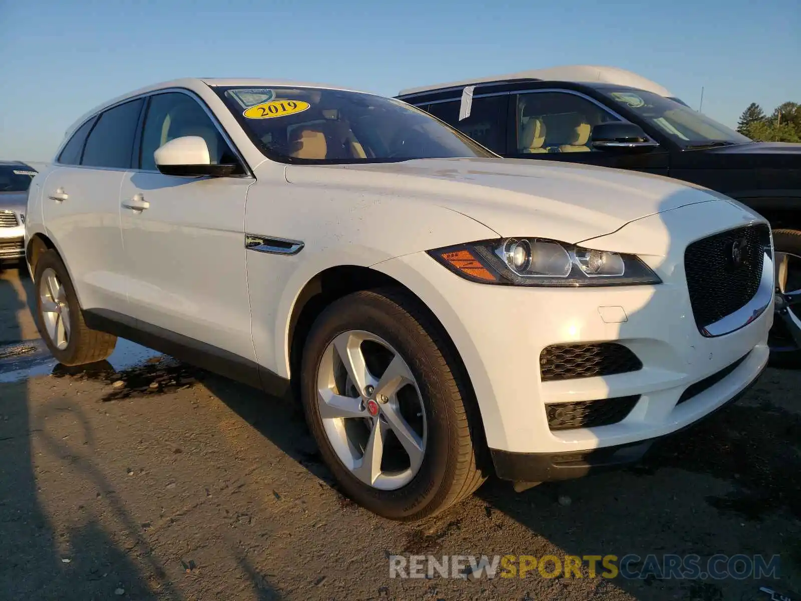 1 Фотография поврежденного автомобиля SADCJ2FX4KA357645 JAGUAR F-PACE 2019