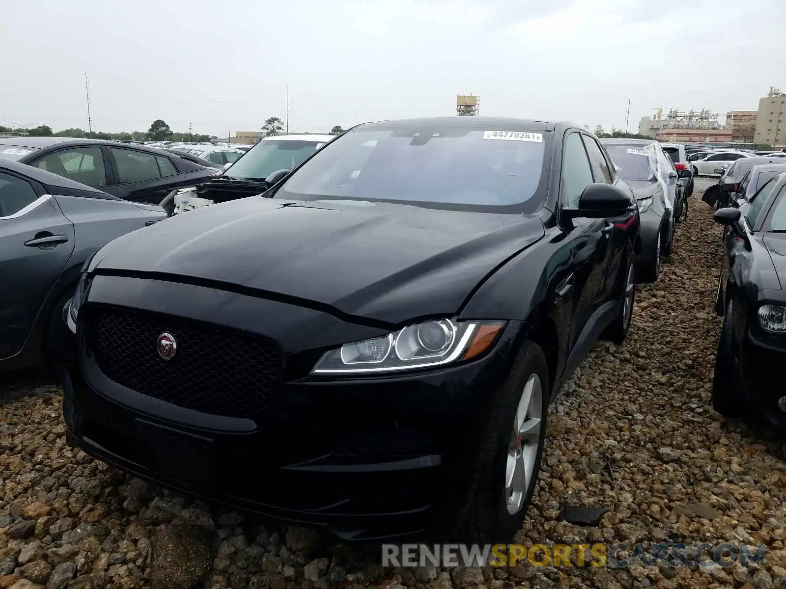 2 Photograph of a damaged car SADCJ2FX5KA606521 JAGUAR F-PACE 2019