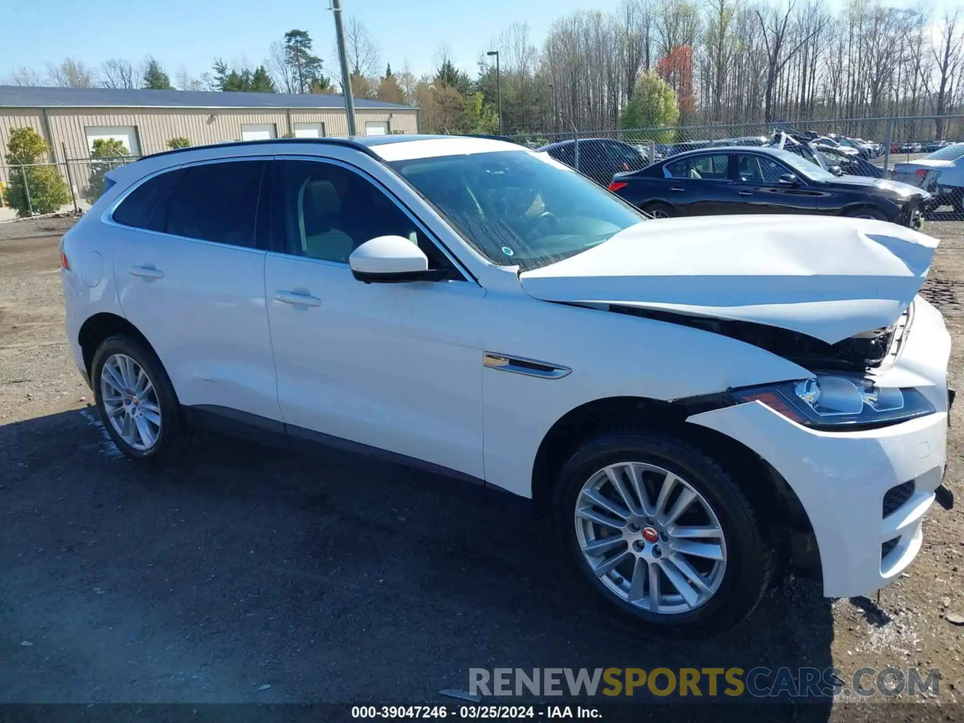 1 Photograph of a damaged car SADCK2FX0KA609677 JAGUAR F-PACE 2019