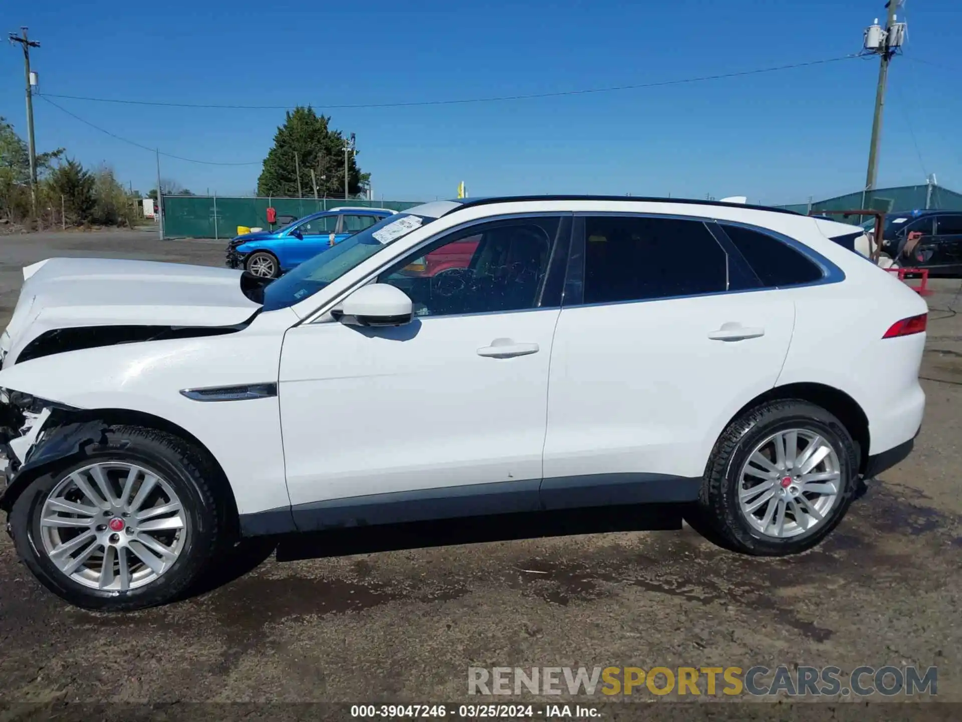 14 Photograph of a damaged car SADCK2FX0KA609677 JAGUAR F-PACE 2019