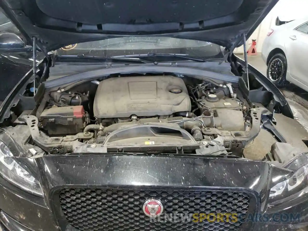 7 Photograph of a damaged car SADCK2FX5KA363032 JAGUAR F-PACE 2019