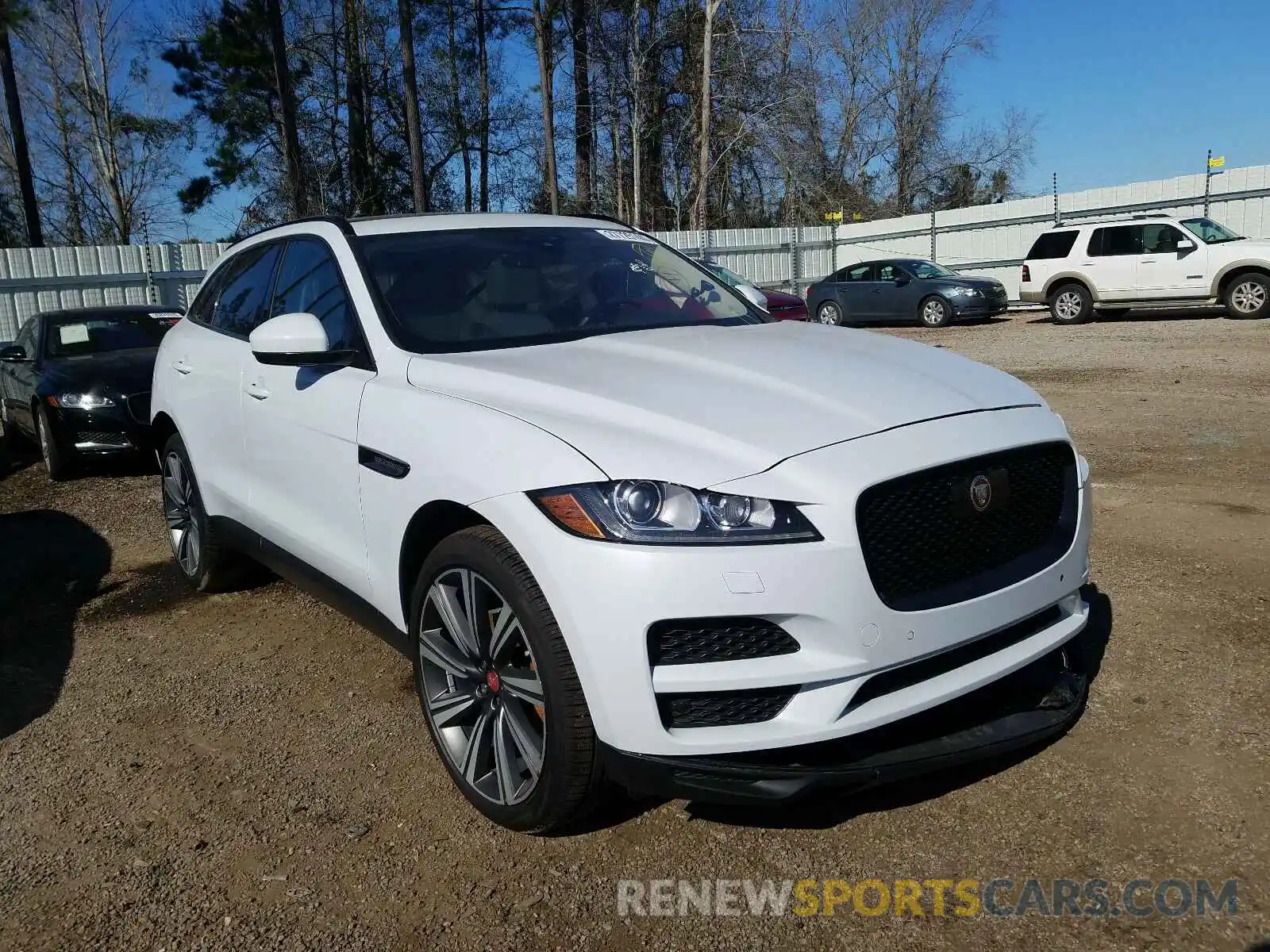 1 Photograph of a damaged car SADCK2FX7KA395576 JAGUAR F-PACE 2019