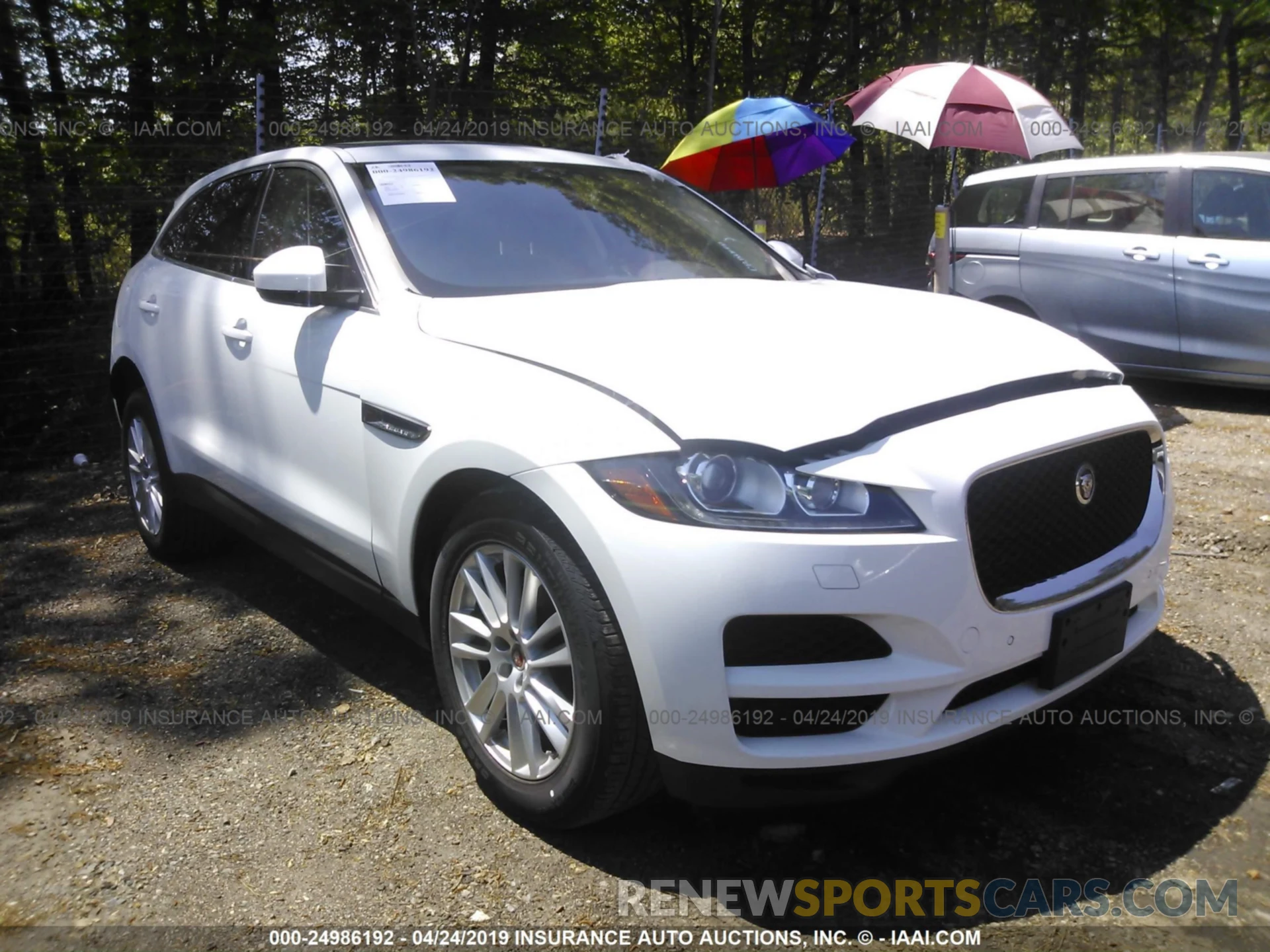 1 Photograph of a damaged car SADCK2GX4KA393010 JAGUAR F-PACE 2019