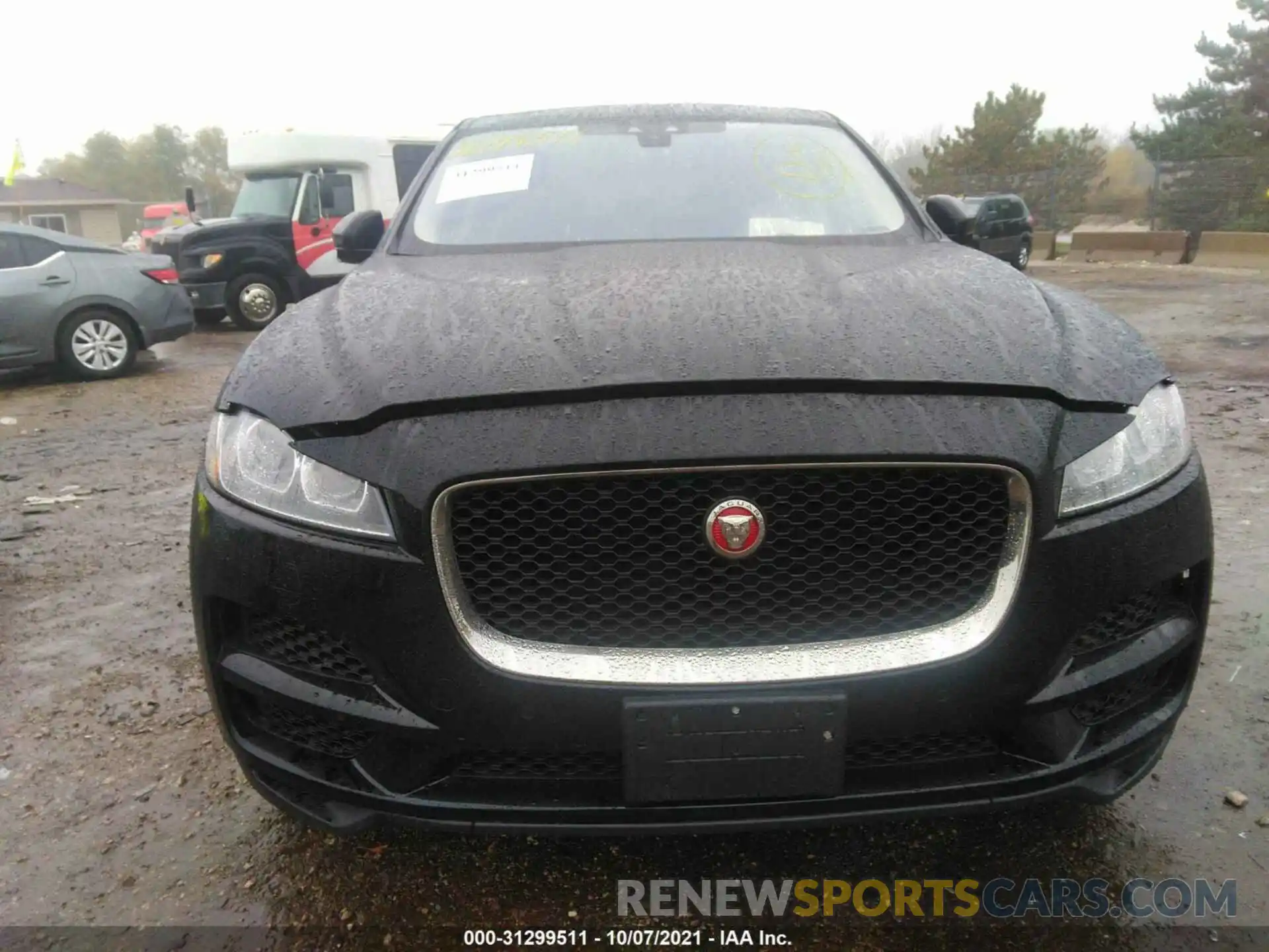 12 Photograph of a damaged car SADCK2GX7KA392496 JAGUAR F-PACE 2019