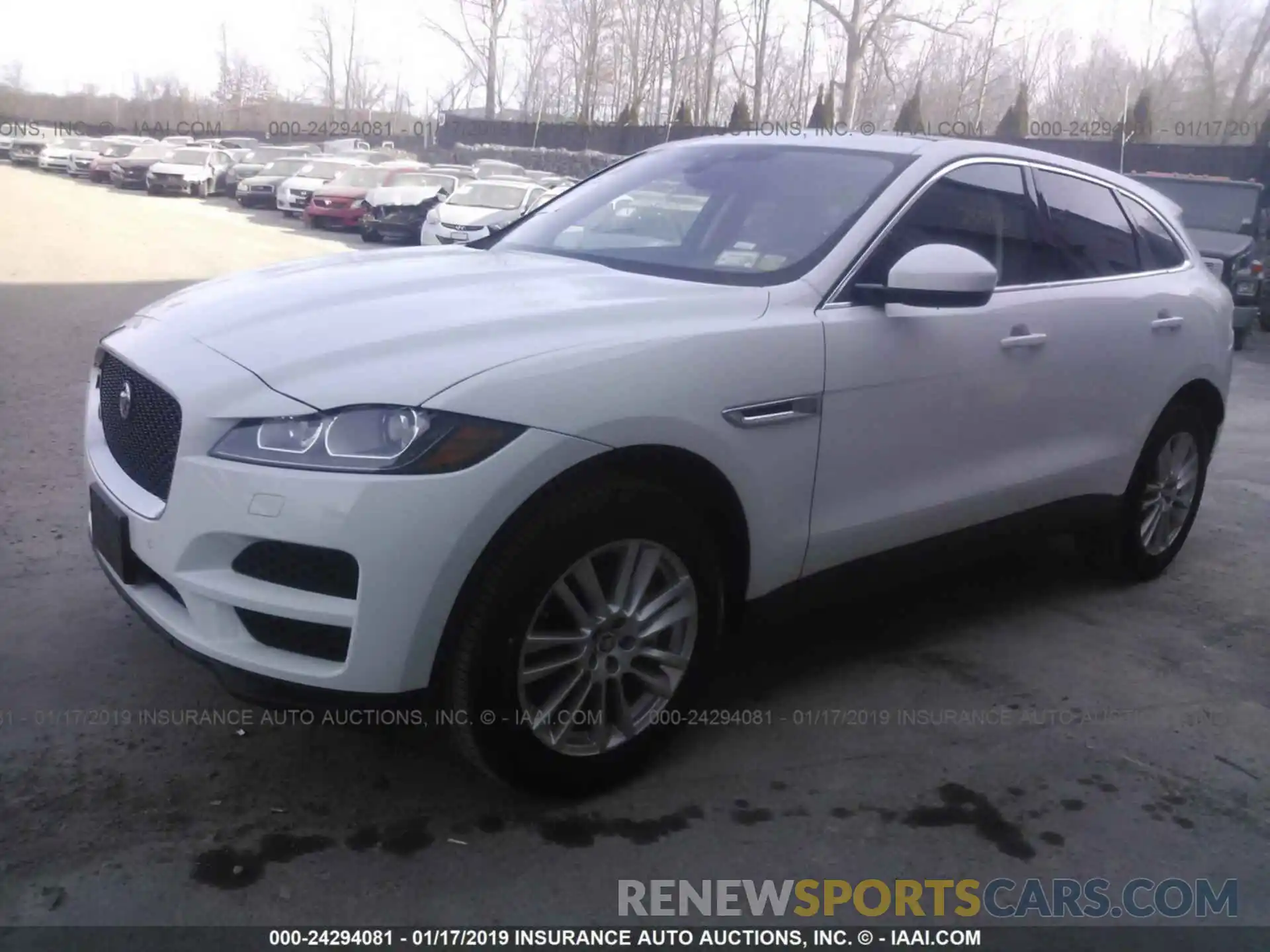 2 Фотография поврежденного автомобиля SADCK2GX8KA390353 JAGUAR F-PACE 2019