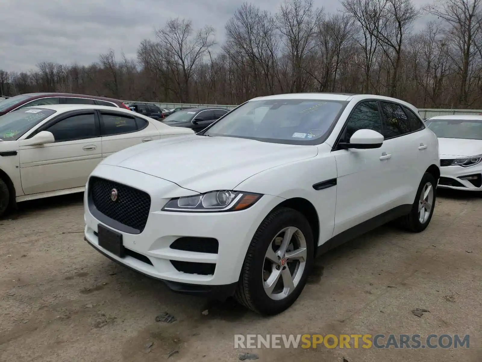 2 Фотография поврежденного автомобиля SADCJ2FX1LA645348 JAGUAR F-PACE 2020