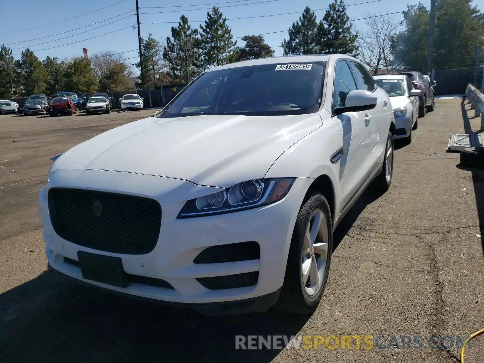 2 Фотография поврежденного автомобиля SADCJ2FX8LA644133 JAGUAR F-PACE 2020