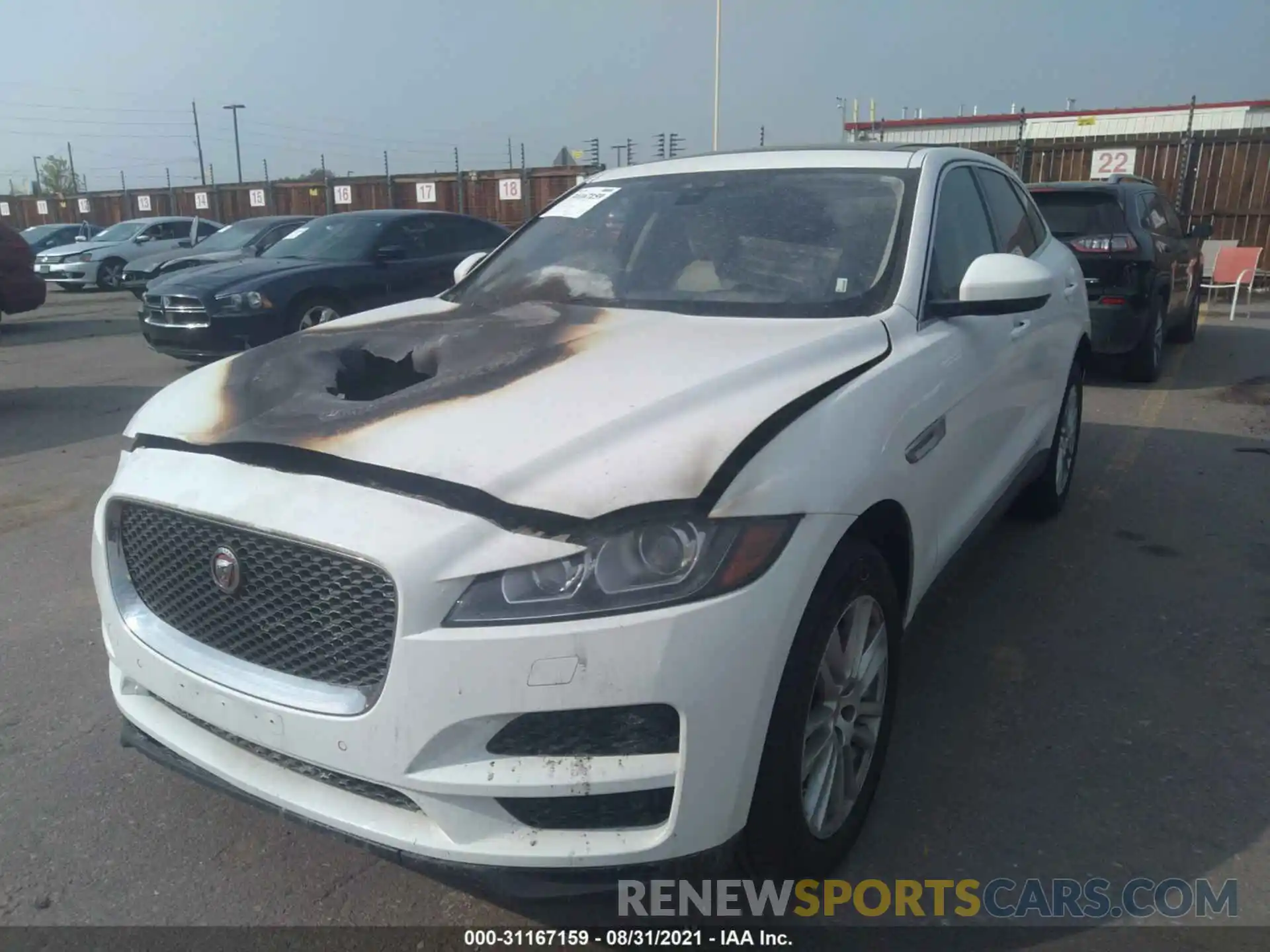 2 Фотография поврежденного автомобиля SADCK2GX7LA640926 JAGUAR F-PACE 2020