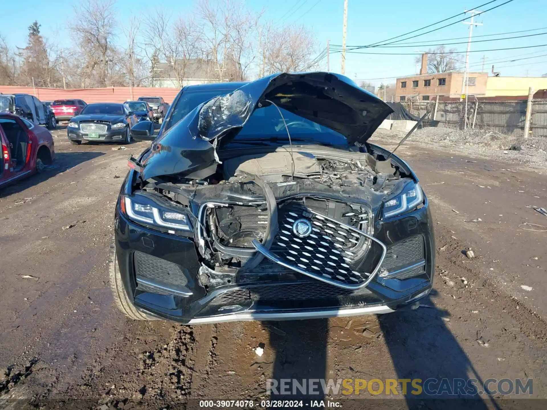 12 Photograph of a damaged car SADCJ2EX5MA684995 JAGUAR F-PACE 2021