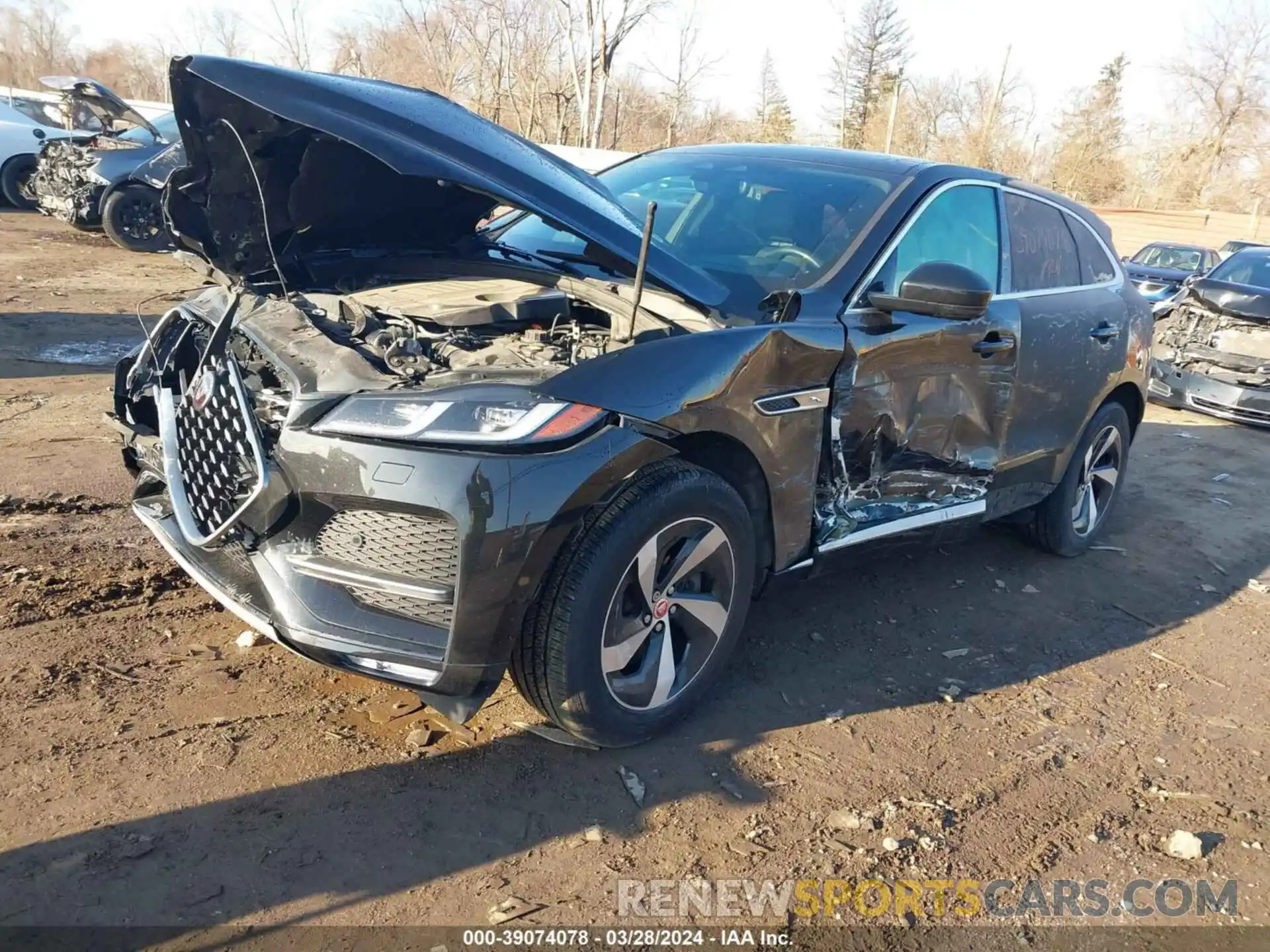 2 Фотография поврежденного автомобиля SADCJ2EX5MA684995 JAGUAR F-PACE 2021