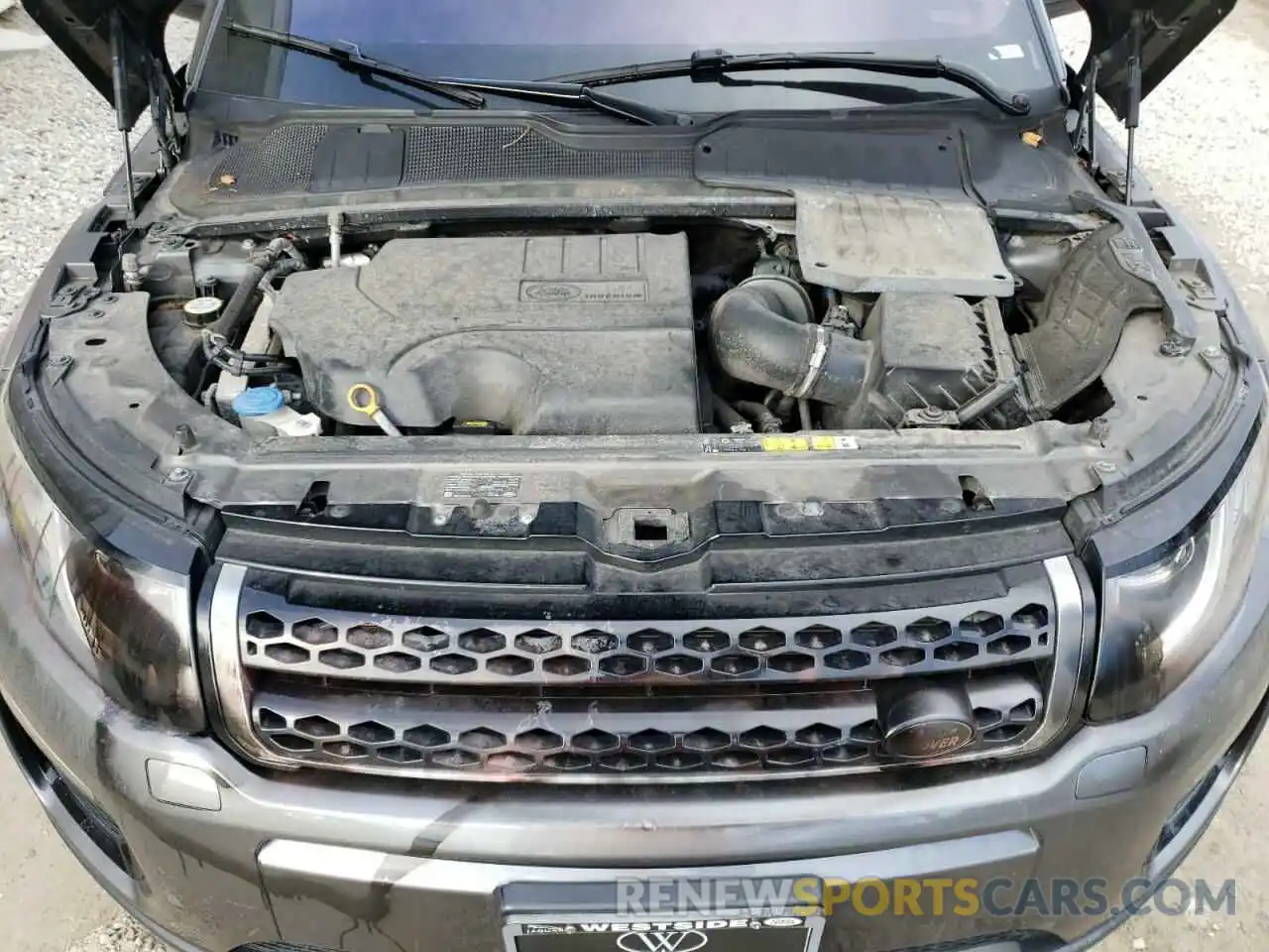 12 Photograph of a damaged car SALVP2RX8KH339809 LAND ROVER RANGEROVER 2019