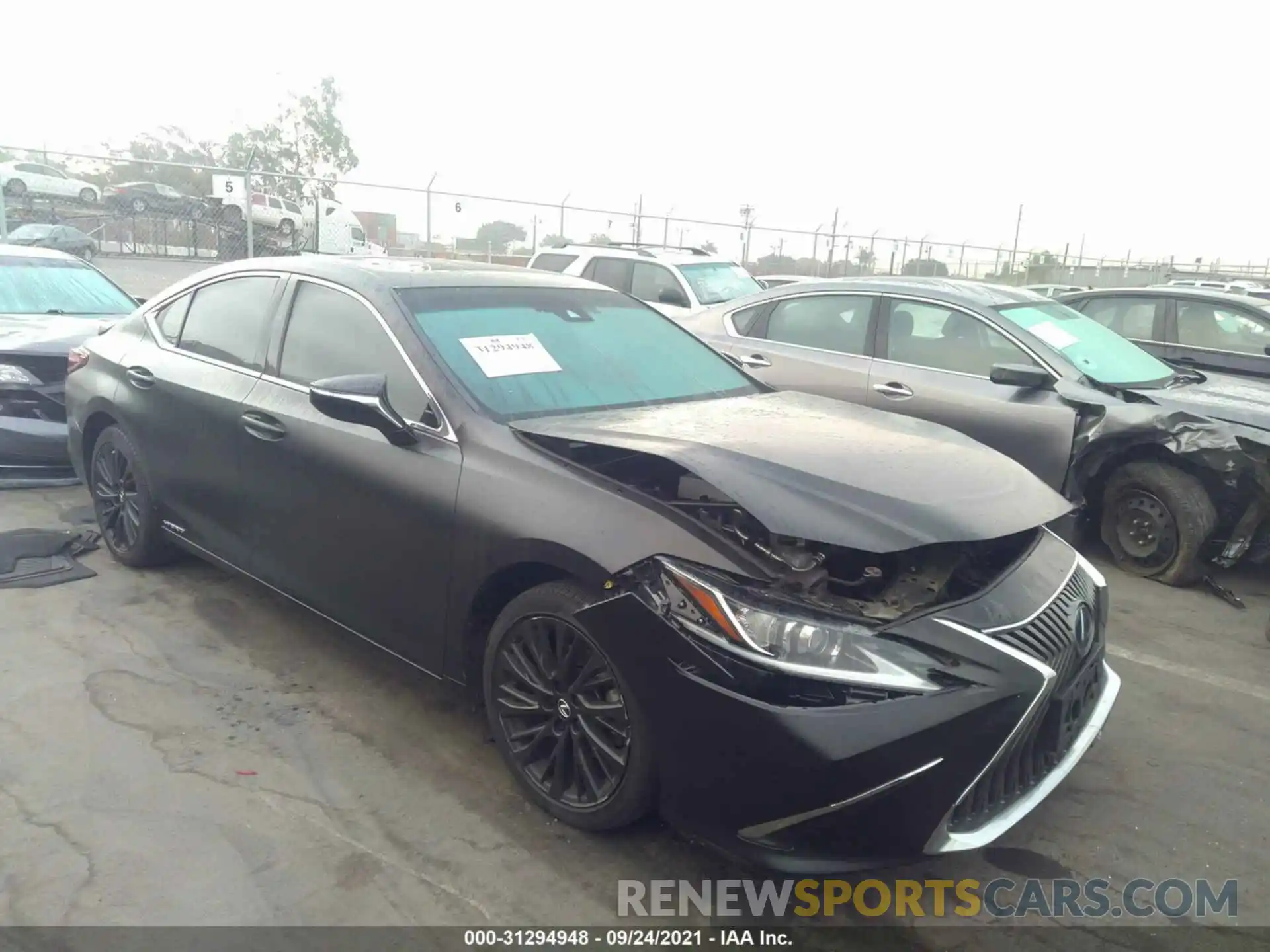 1 Photograph of a damaged car 58AB21B13KU003893 LEXUS ES 2019