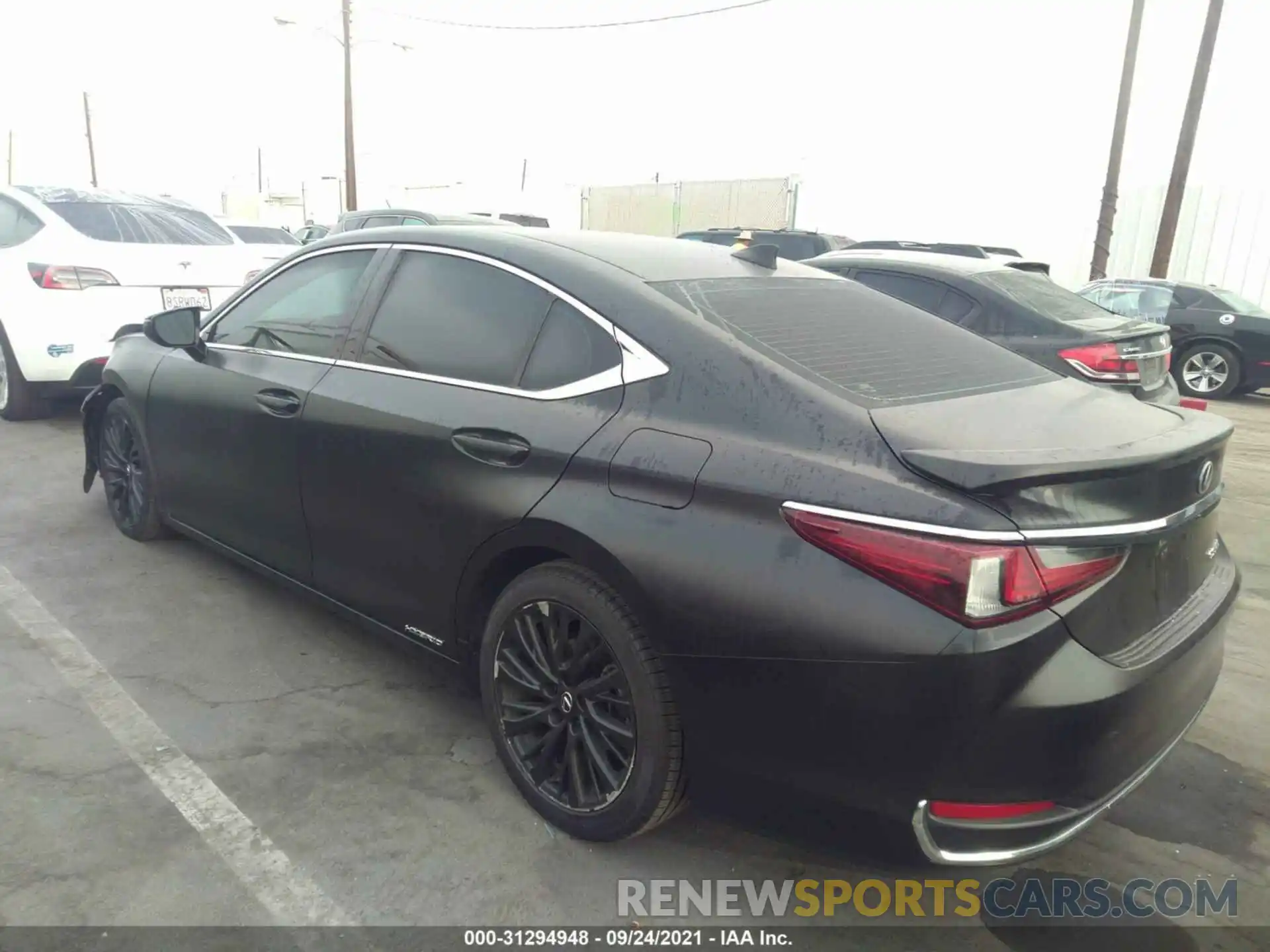 3 Photograph of a damaged car 58AB21B13KU003893 LEXUS ES 2019