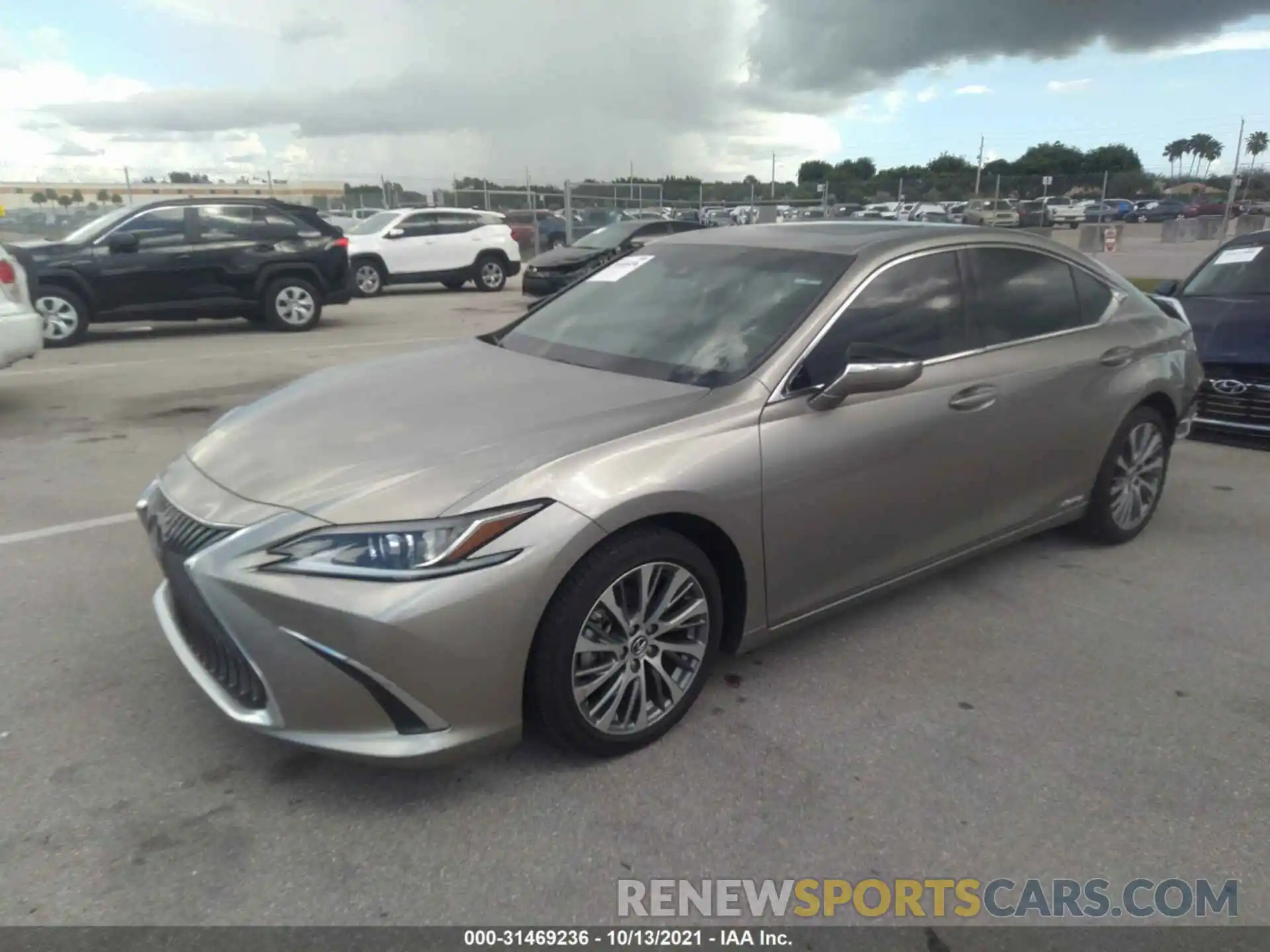 2 Photograph of a damaged car 58AB21B14KU003840 LEXUS ES 2019