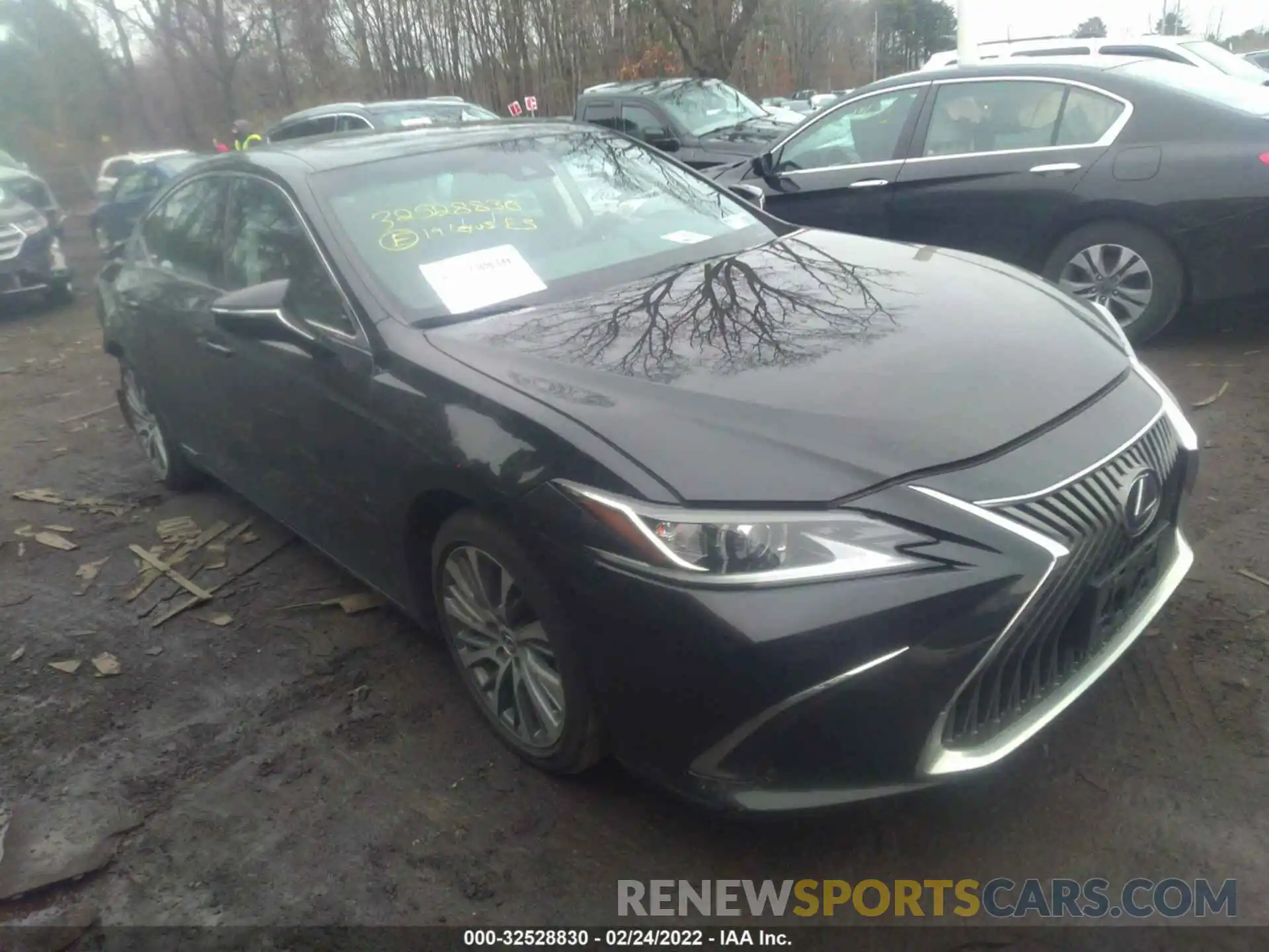 1 Photograph of a damaged car 58AB21B19KU003851 LEXUS ES 2019