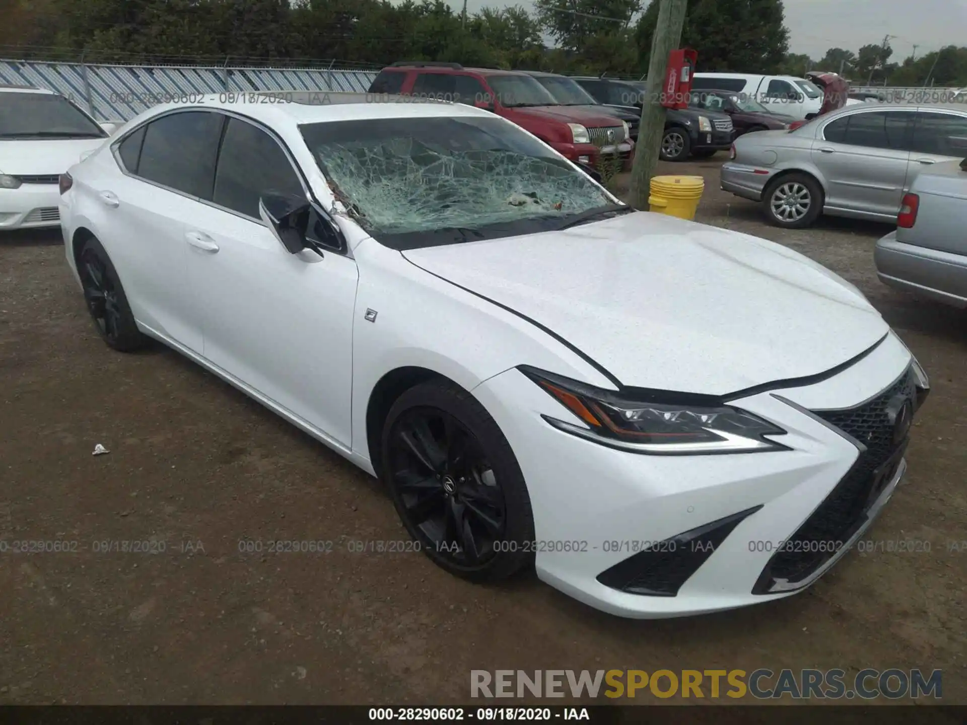 12 Photograph of a damaged car 58ABZ1B10KU006603 LEXUS ES 2019