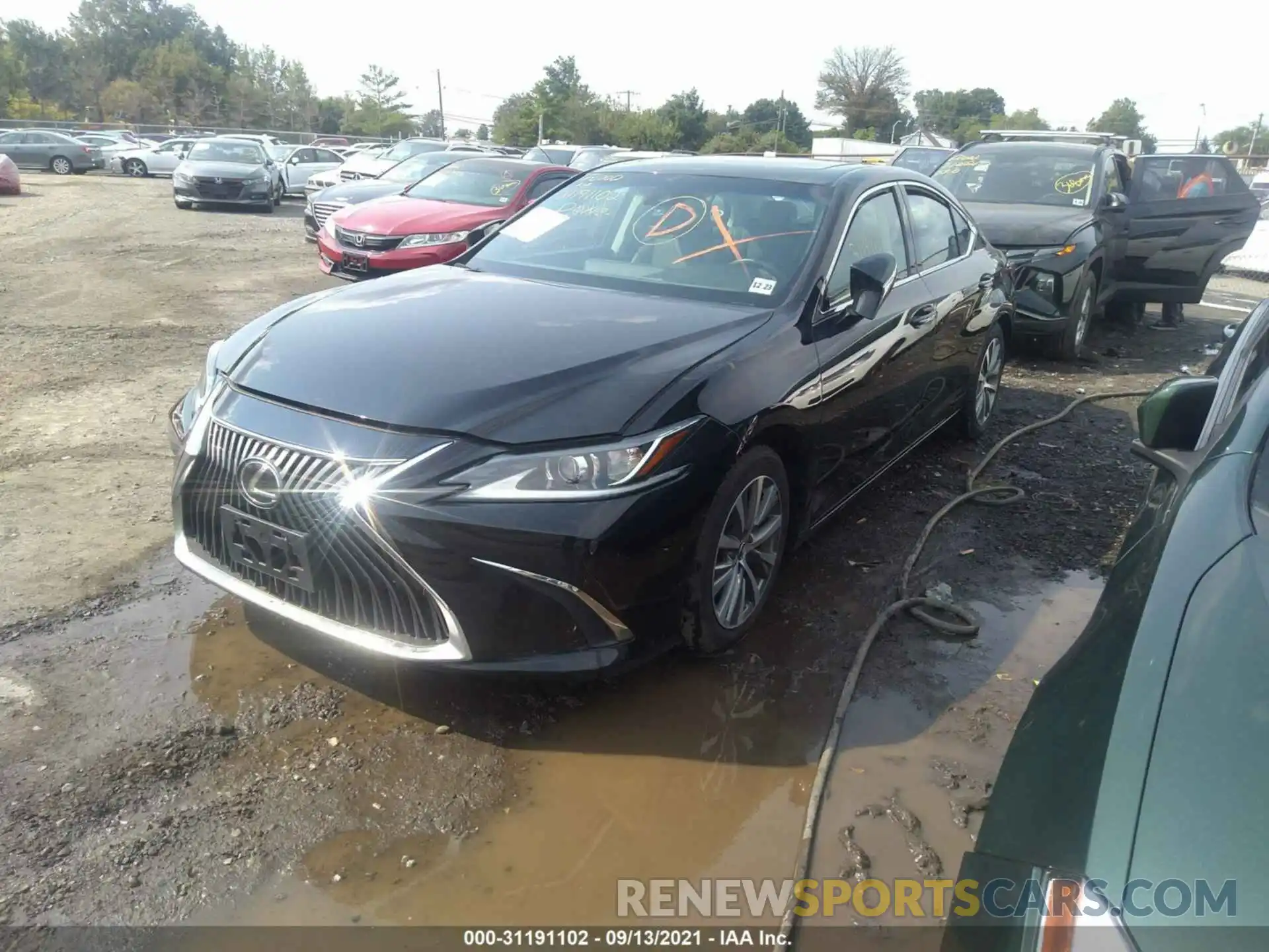 2 Photograph of a damaged car 58ABZ1B13KU018650 LEXUS ES 2019