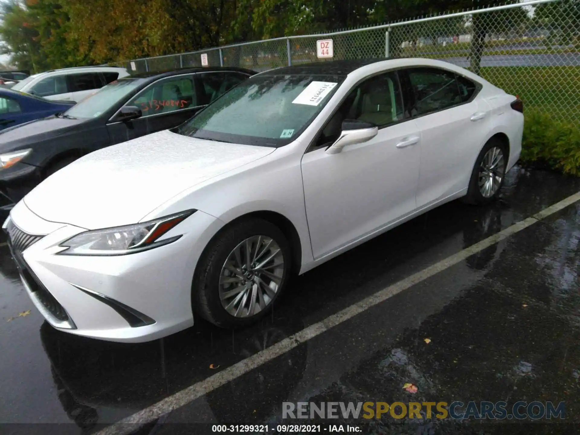 2 Photograph of a damaged car 58ABZ1B13KU041538 LEXUS ES 2019