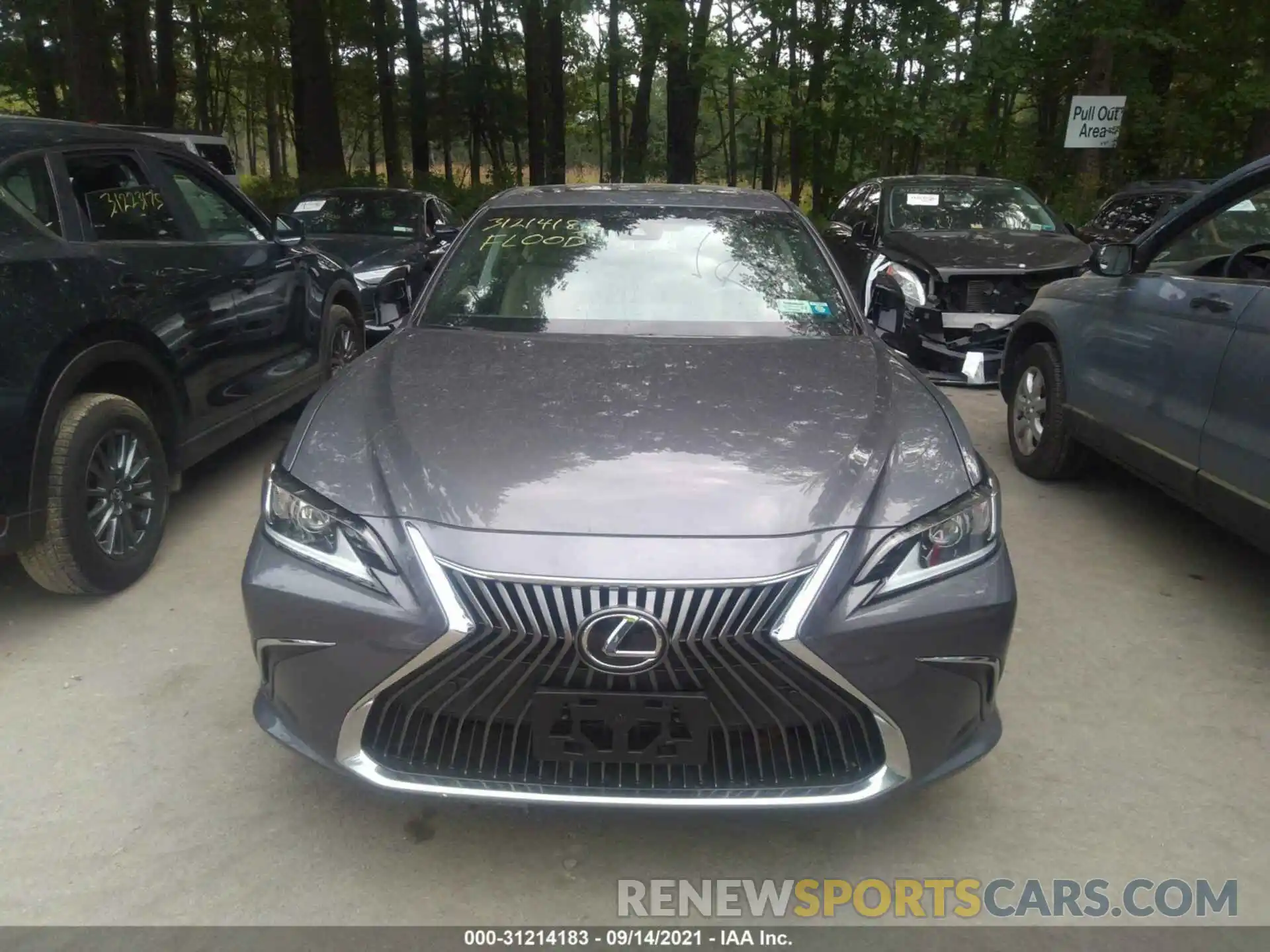 6 Photograph of a damaged car 58ABZ1B1XKU035039 LEXUS ES 2019