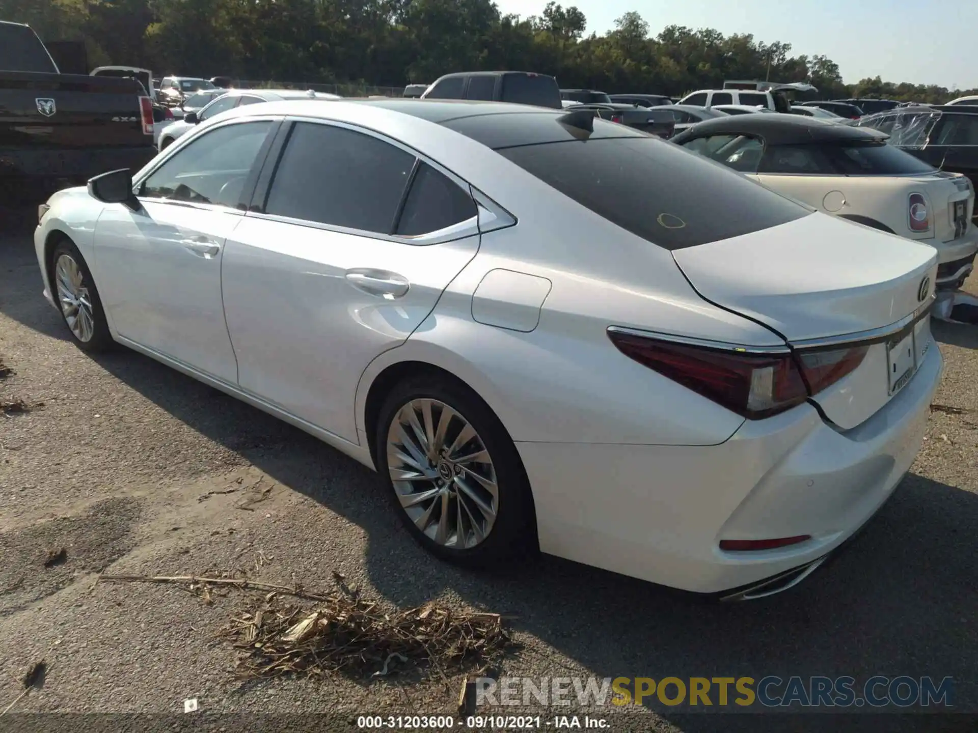 3 Photograph of a damaged car 58AFZ1B13LU070752 LEXUS ES 2020