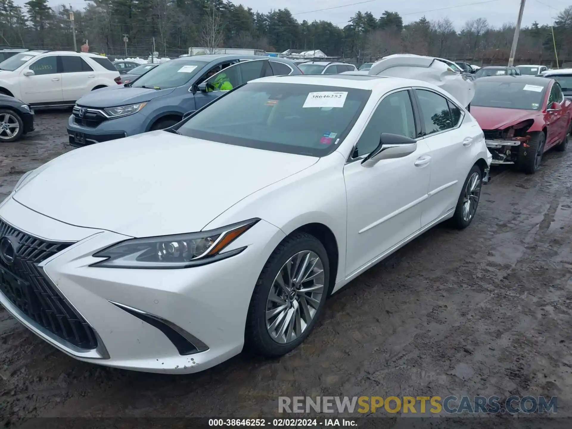 2 Photograph of a damaged car 58AEA1C11NU015866 LEXUS ES 300H 2022