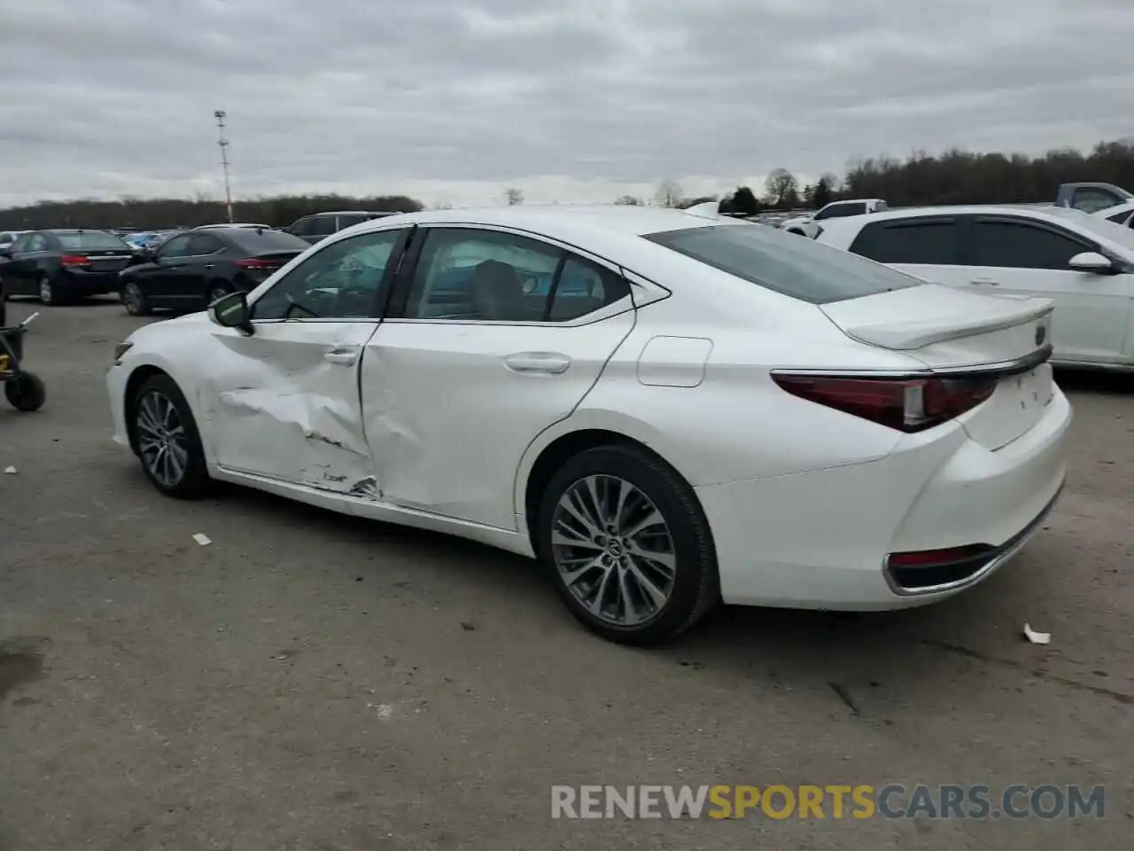 2 Photograph of a damaged car 58AD11D16MU005648 LEXUS ES250 2021