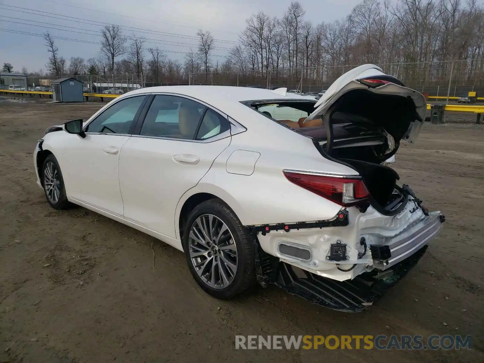 3 Фотография поврежденного автомобиля 58AD11D19MU002050 LEXUS ES250 2021